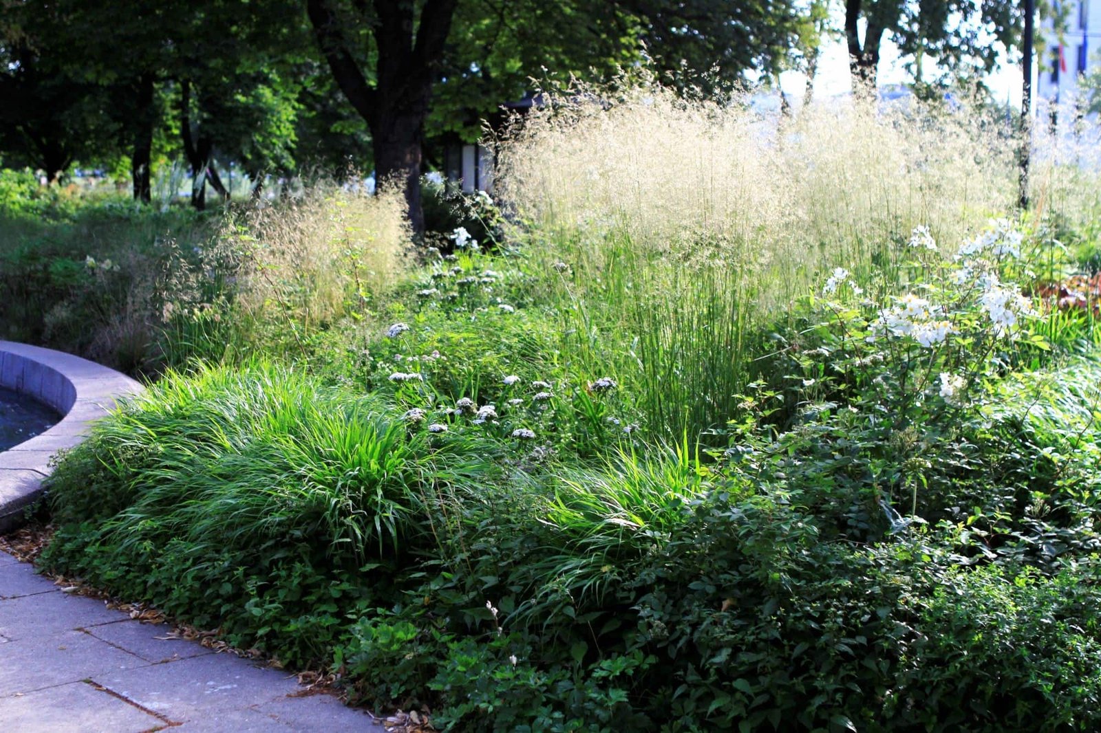 Washington Square Flowerbed (photo by Vaiva Maroziene)