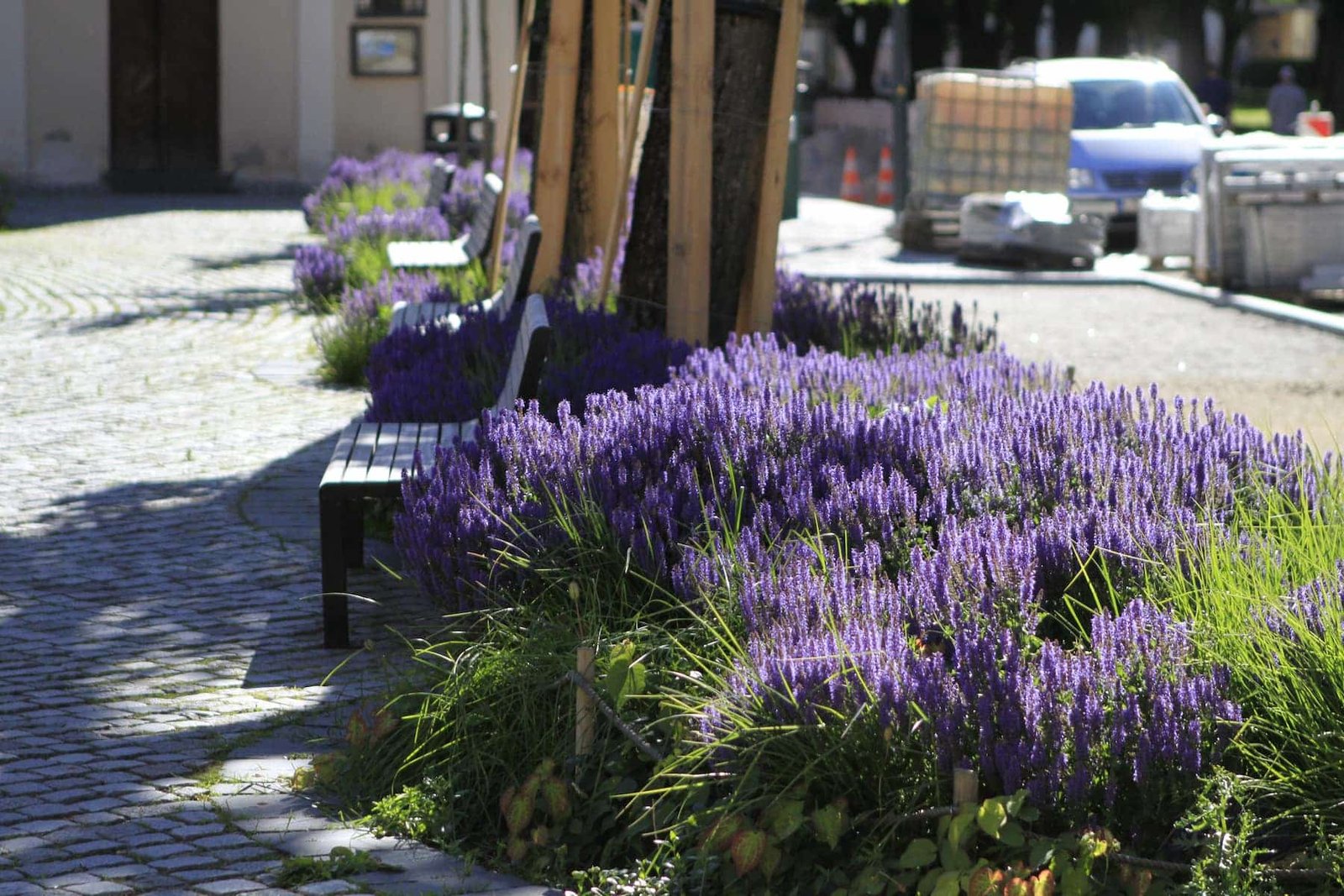 Laurynas Stuoka-Gucevičius Square Flowerbed (photo by Vaiva Maroziene)