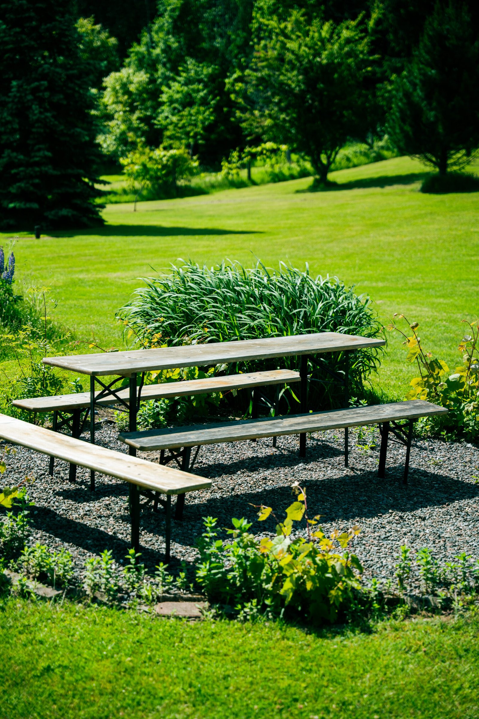 Relaxation areas in the park