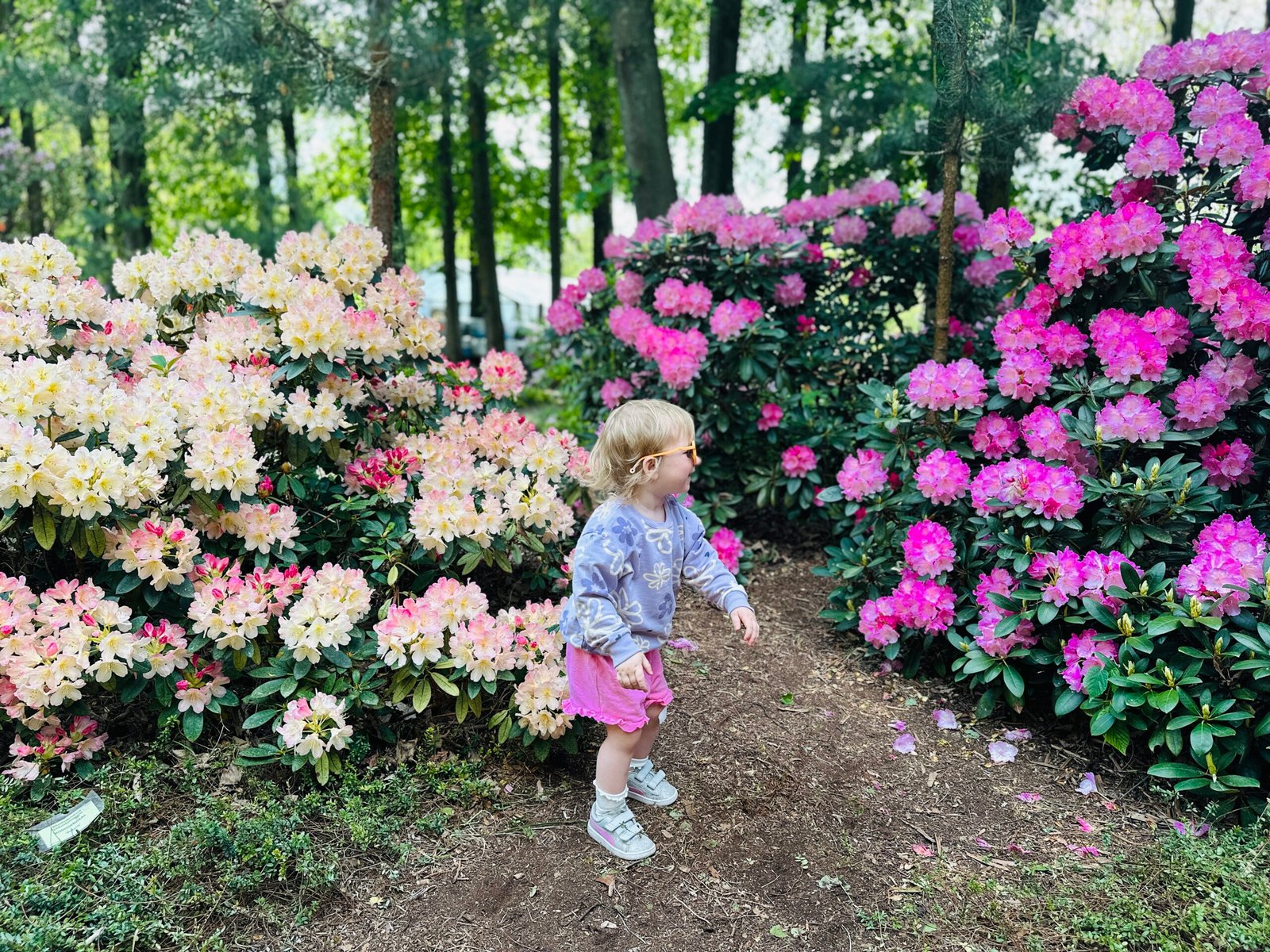 Šiauliai Botanical Garden