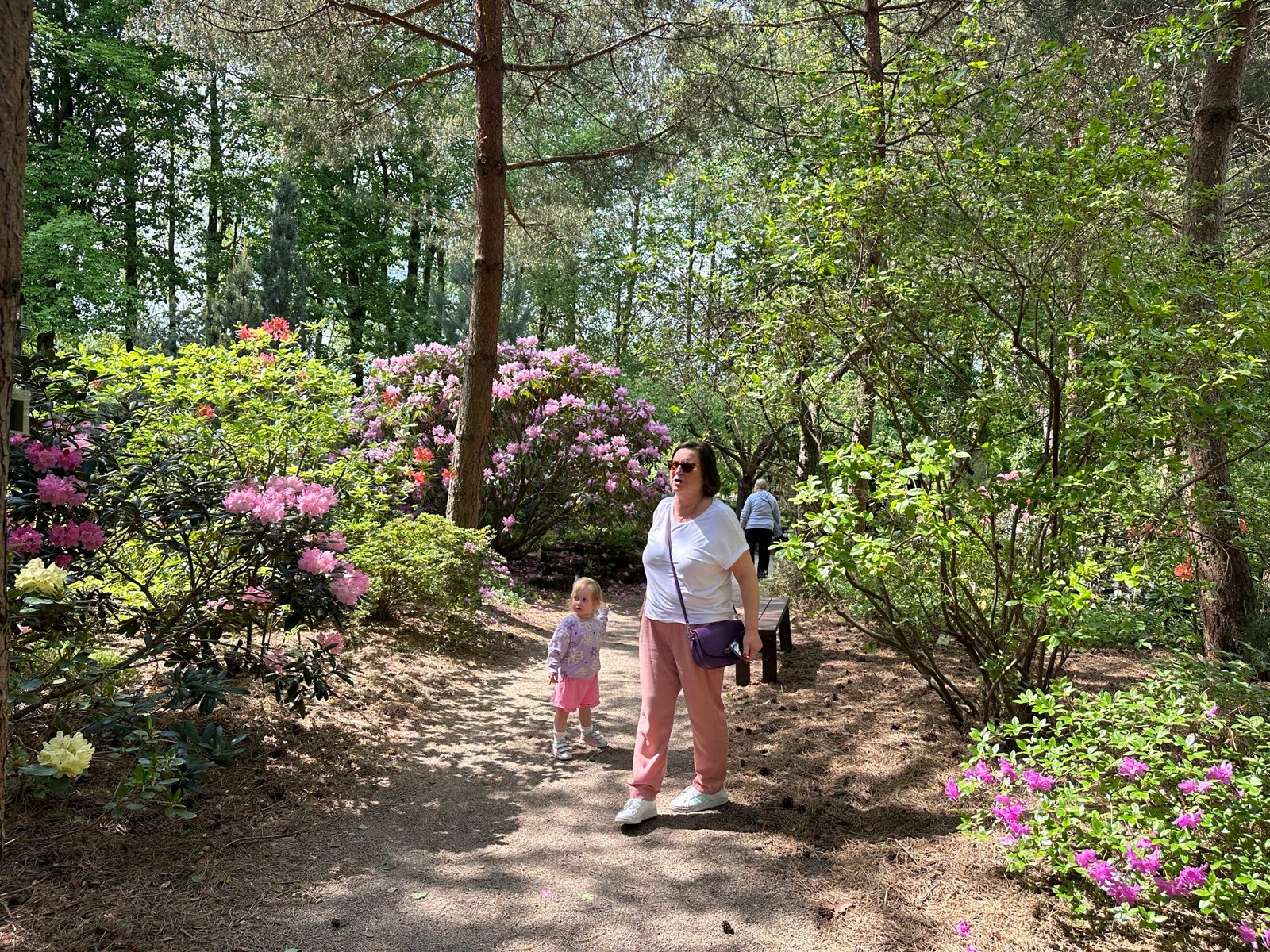 Šiauliai Botanical Garden