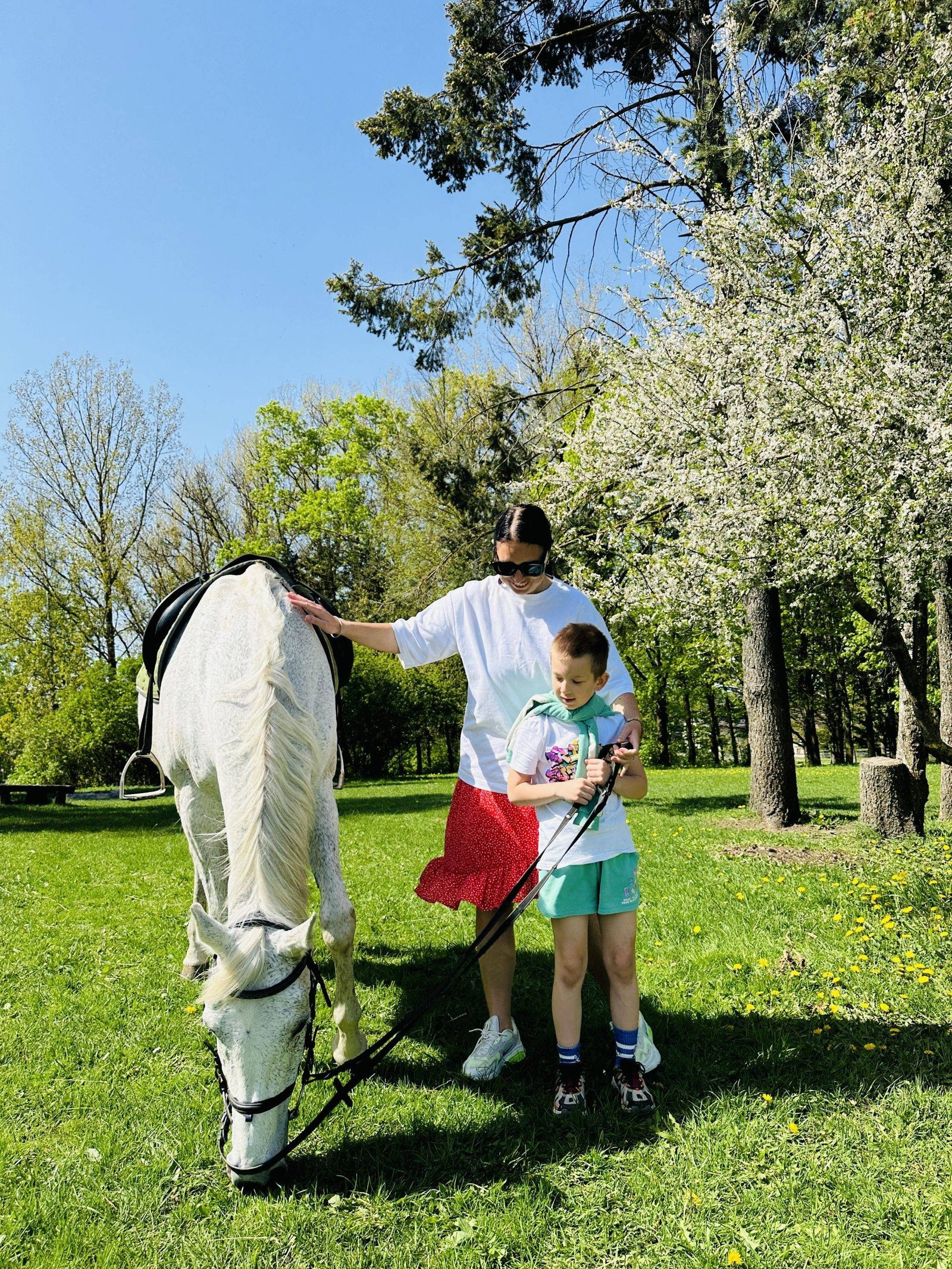 Šiauliai Young Naturalists’ Centre horse stable