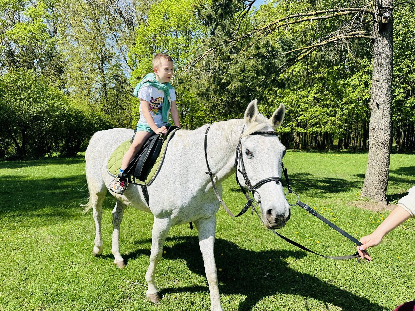 Šiauliai Young Naturalists’ Centre horse stable