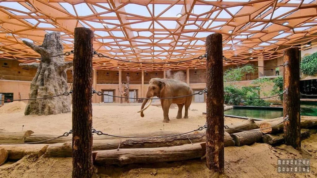 Lodz Zoo with children