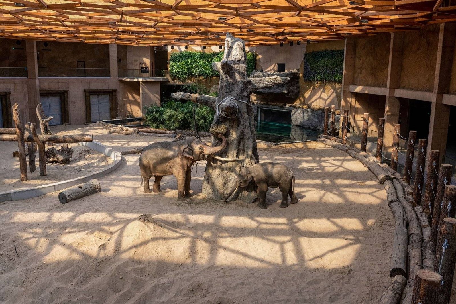 Lodz Zoo with children