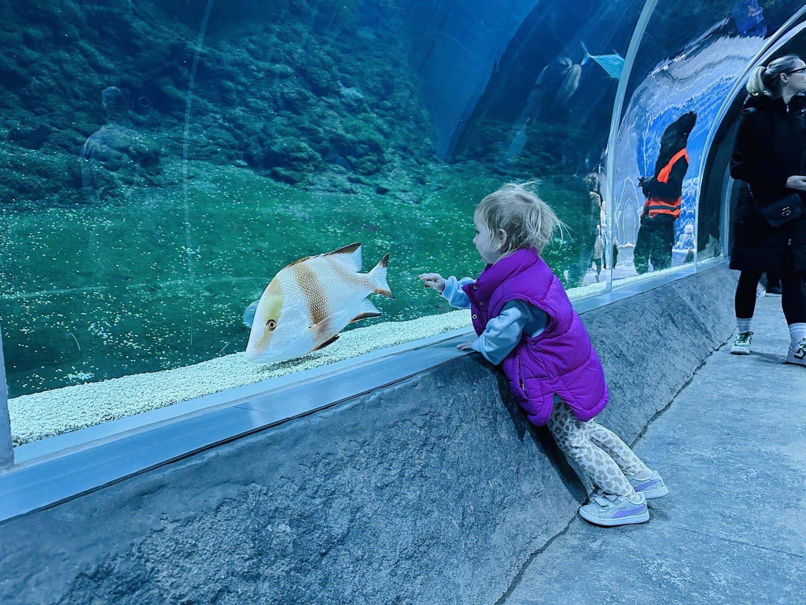 Lodz Zoo with children