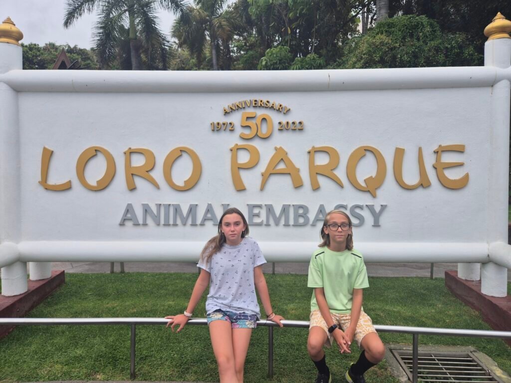Loro park in Tenerife: news, tickets, and tips on how to save money
