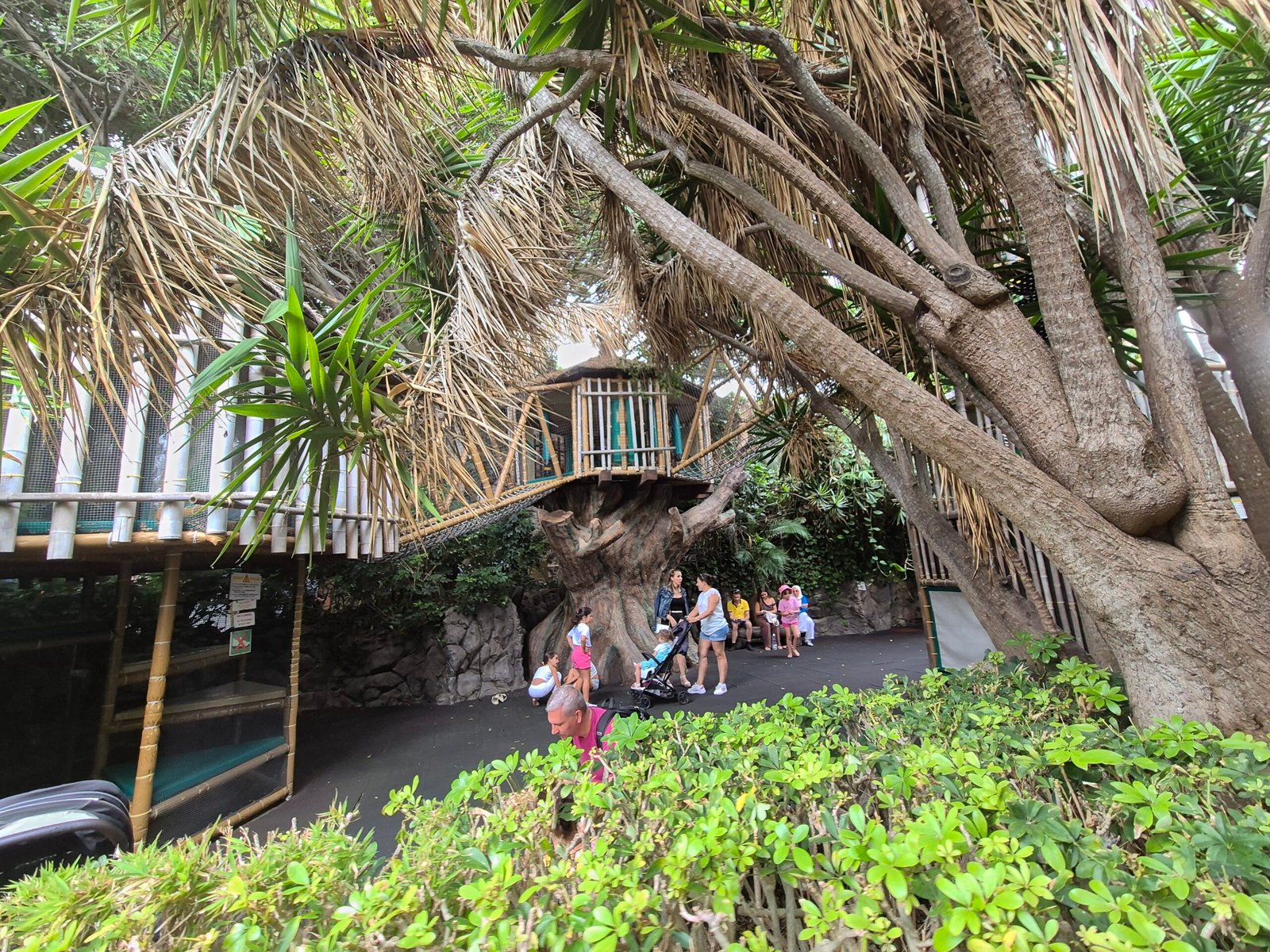 Activities for children at Loro park