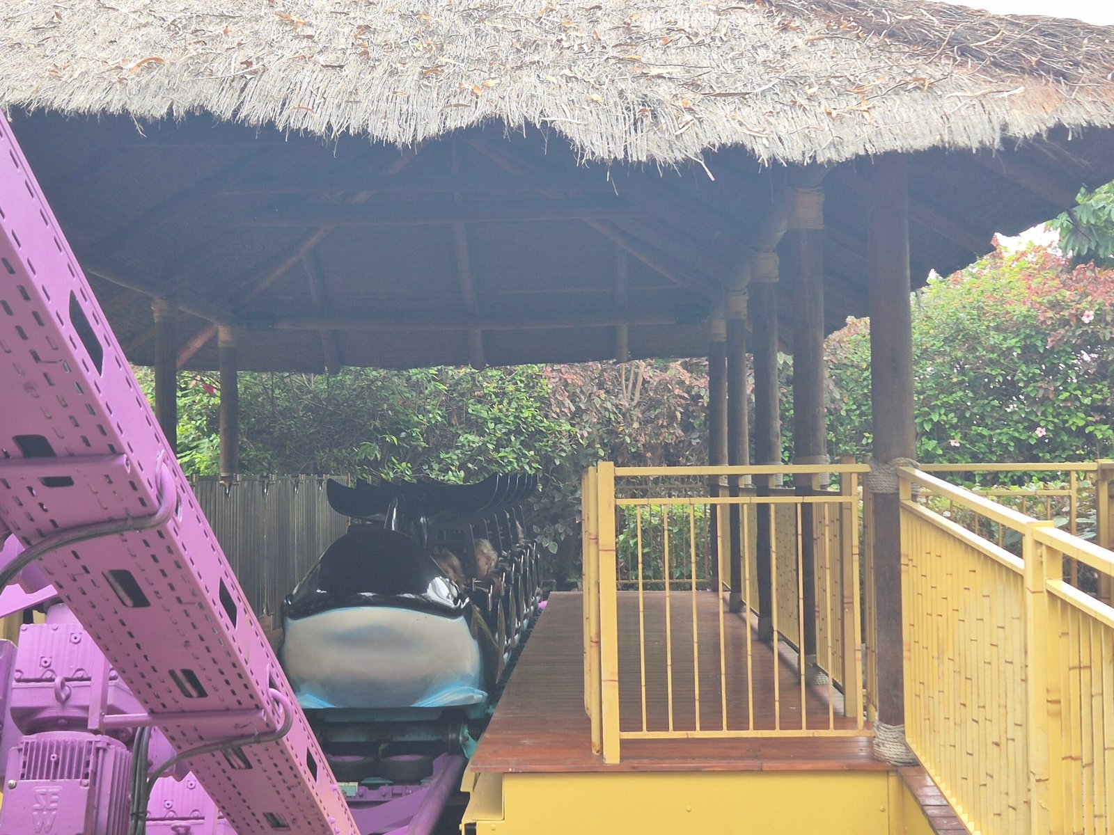 Activities for children at Loro park