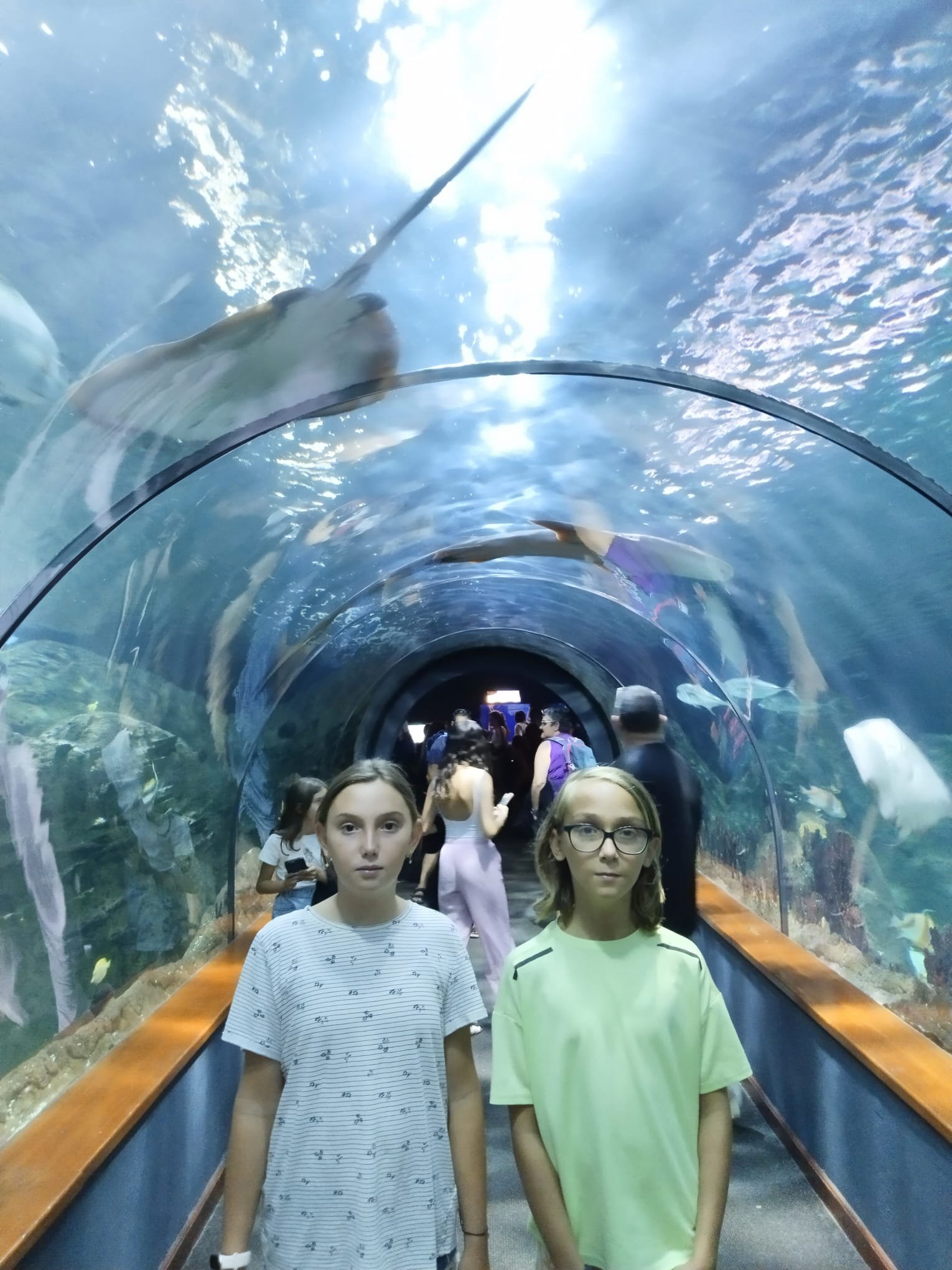 Loro park in Tenerife