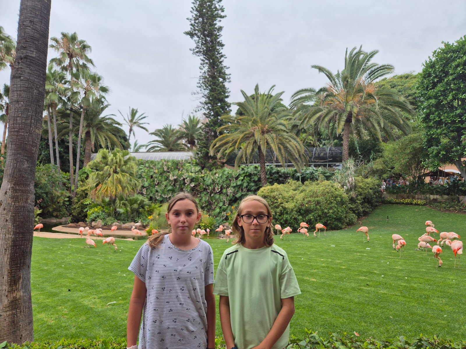 Loro park in Tenerife: news, tickets, and tips on how to save money