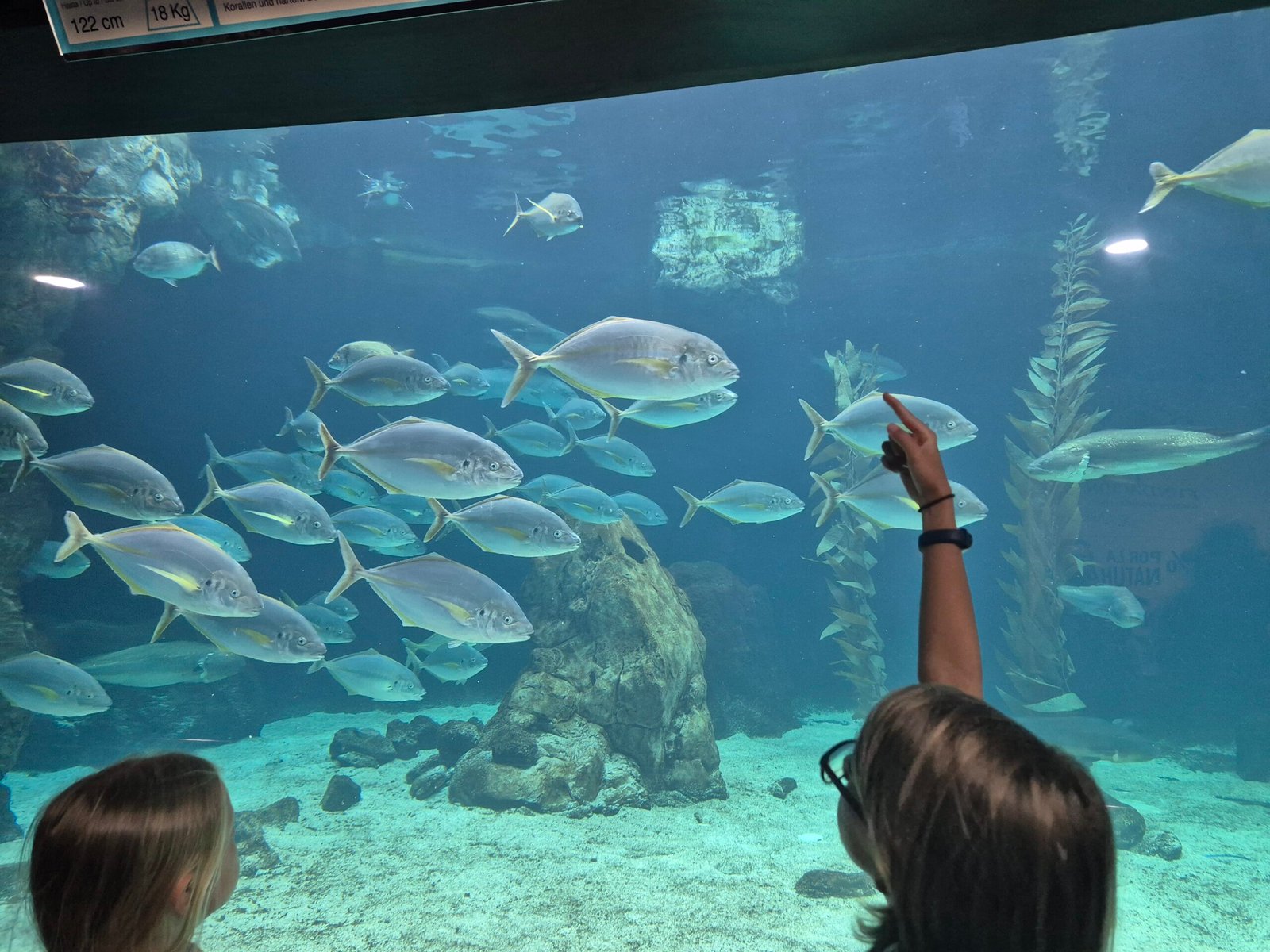 Travel with kids to Loro park