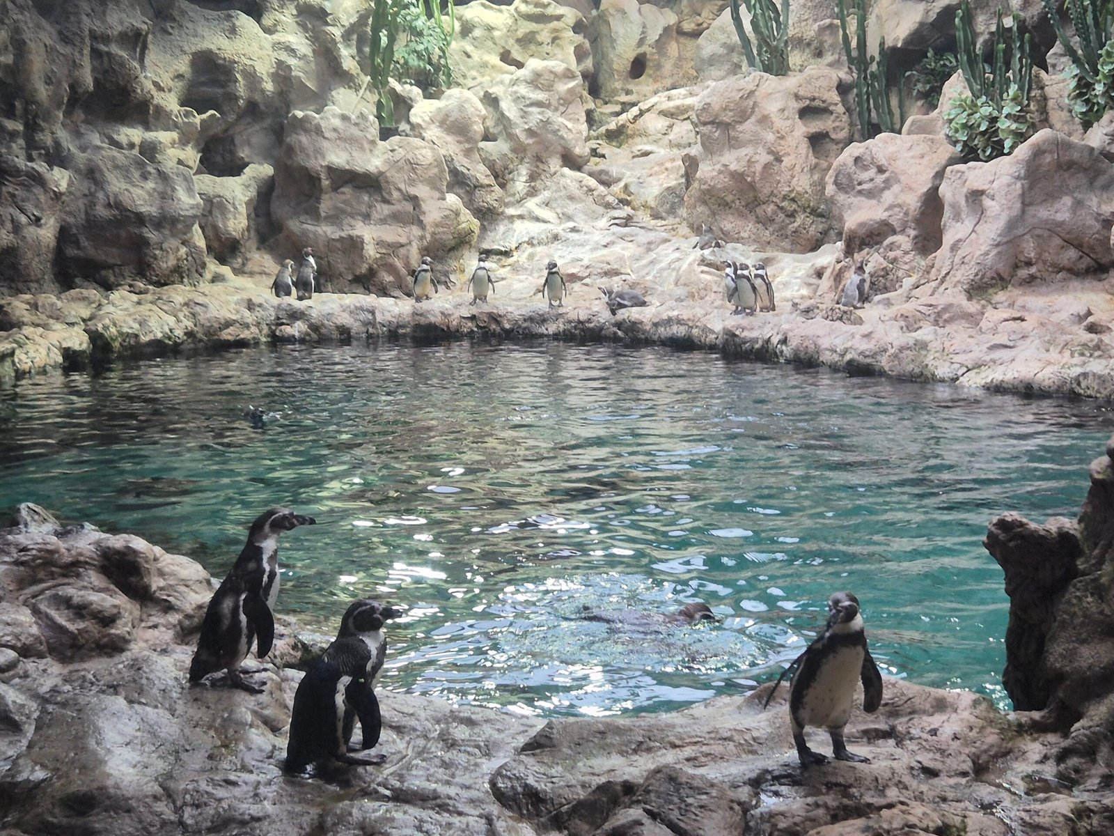 With kids at Loro park