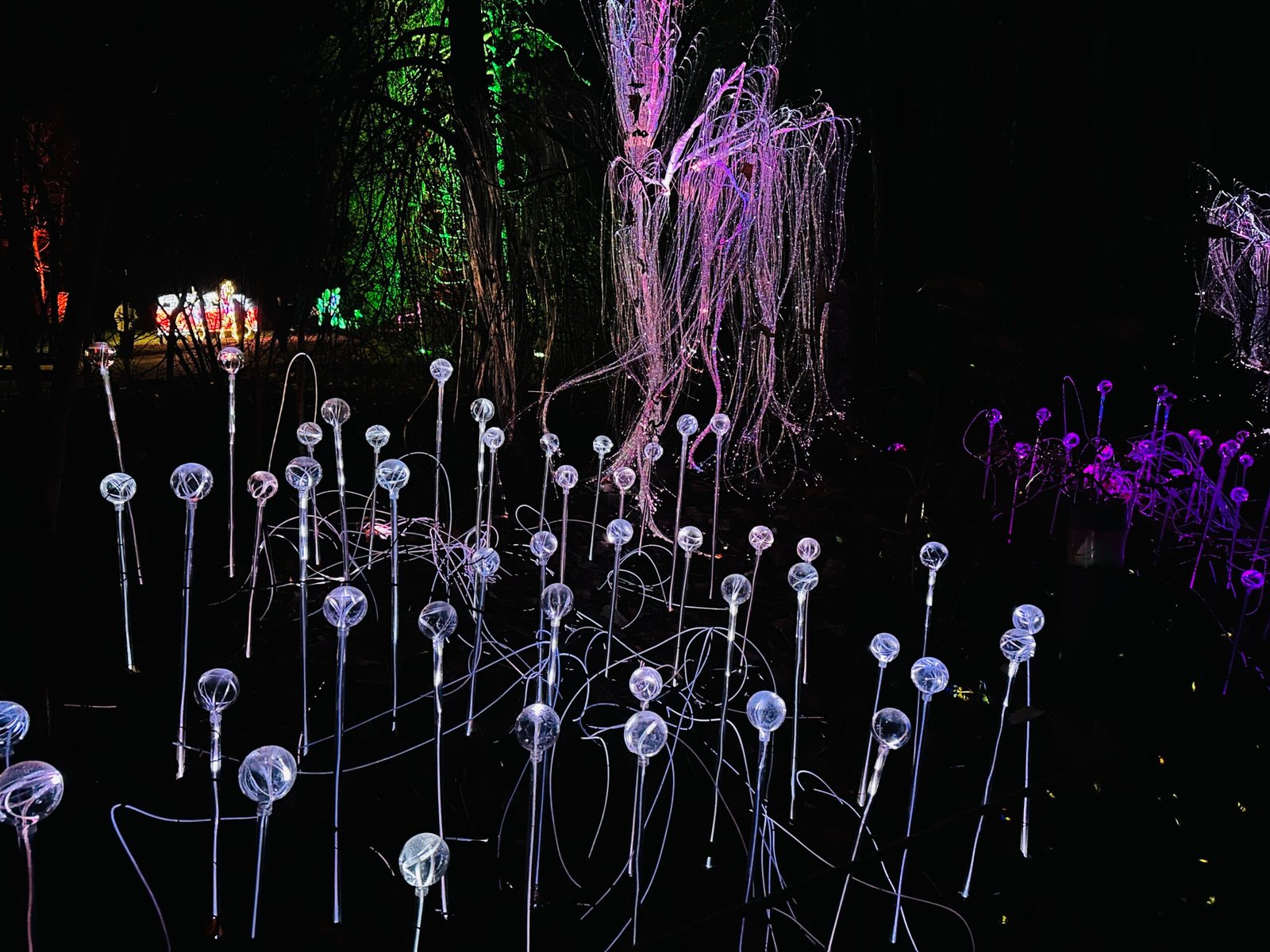 Winter activities with children