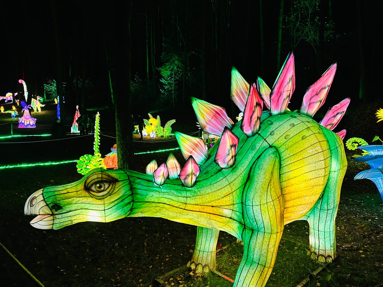 Lumina Park 2025: a light sensation in Vilnius breaking visitor records