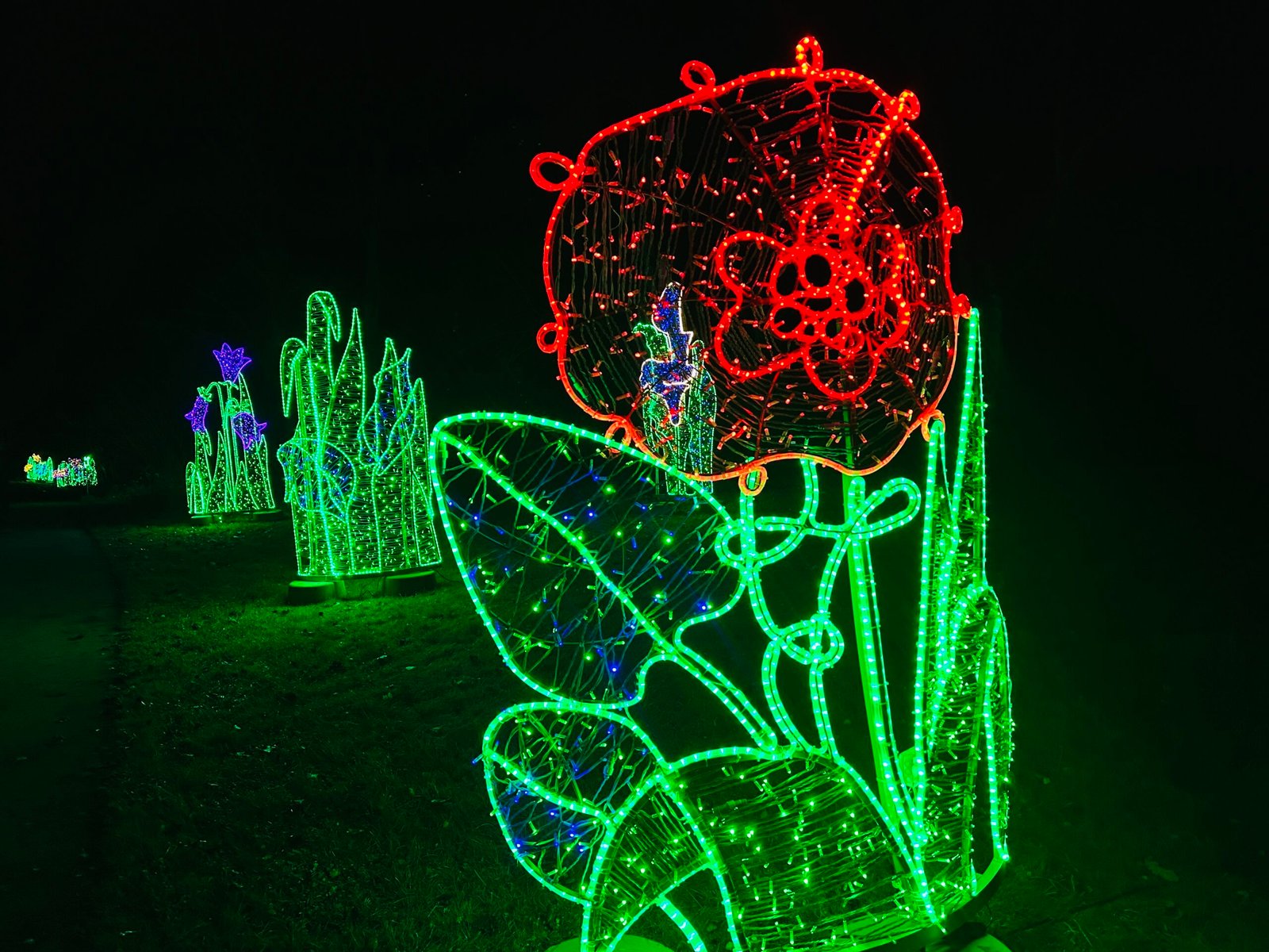 Light parks in Lithuania