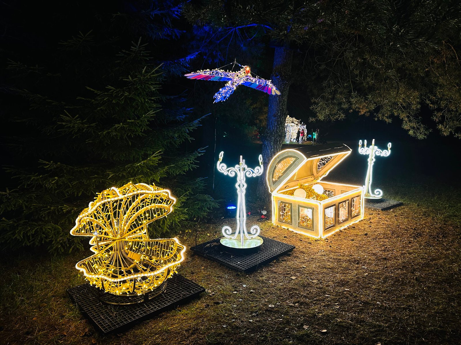 Light parks in Lithuania