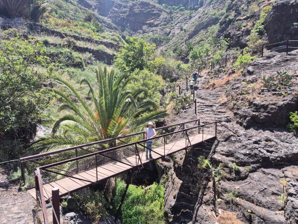 Everything about the Masca hike in Tenerife: experiences, tips, and practical information