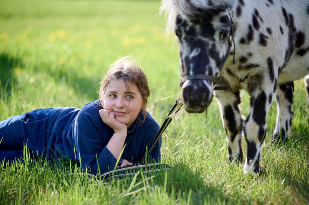 Miško sapno žirgai (Forest dream horses)