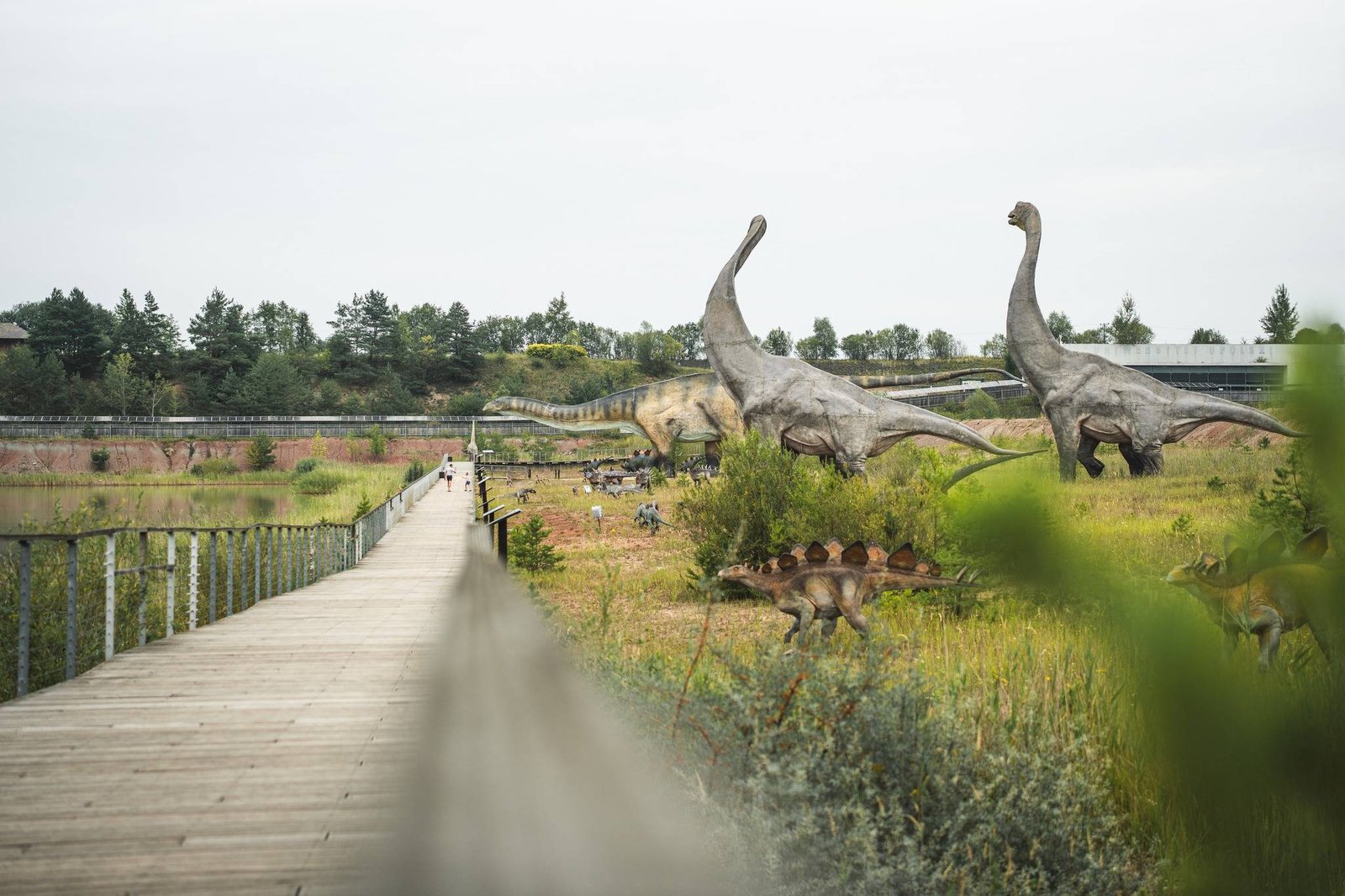 Science and human evolution park