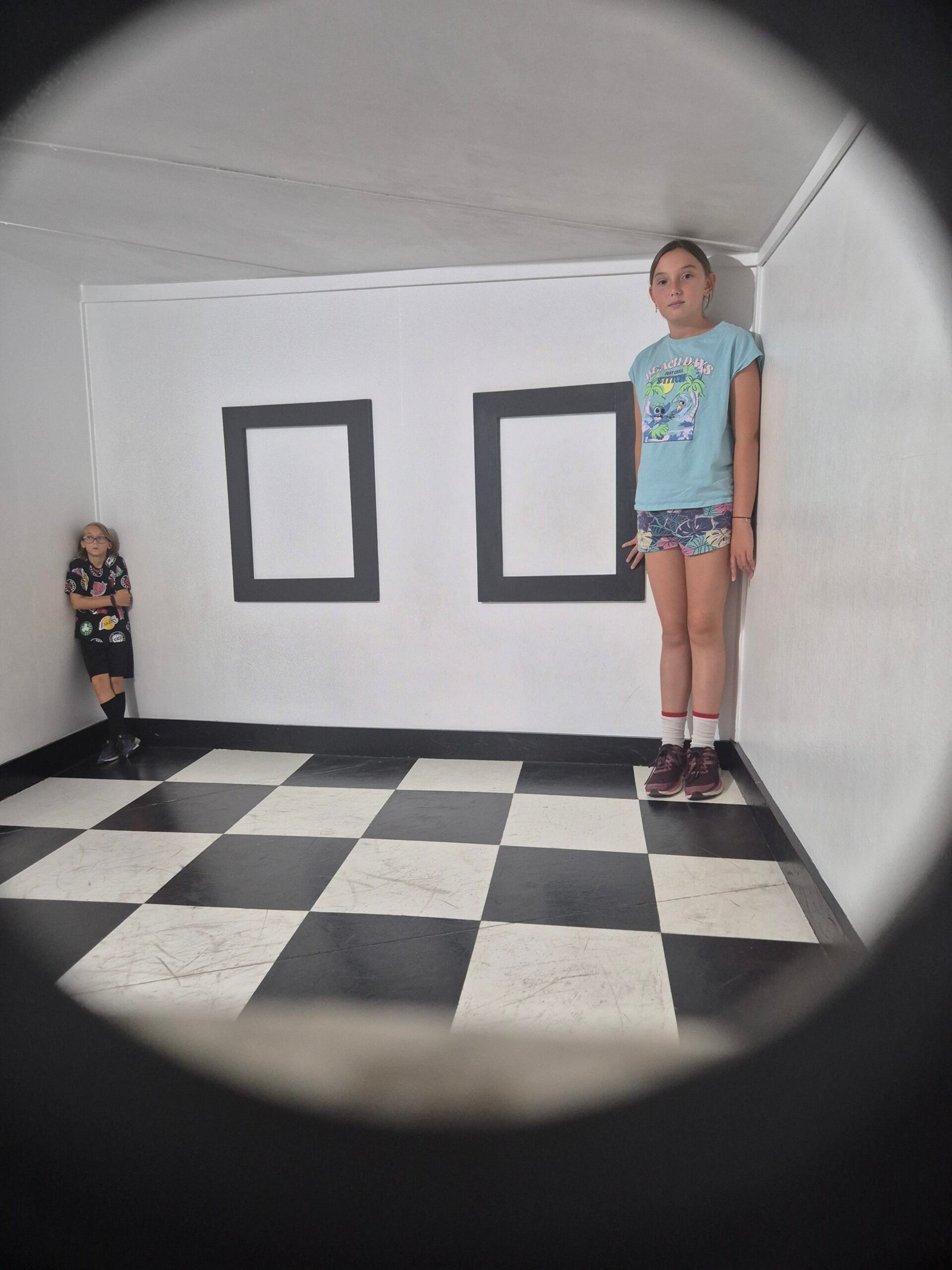 Optical illusion exhibits