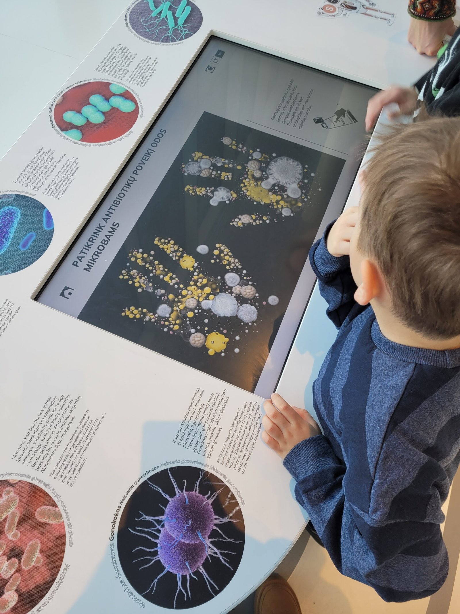 Interactive exhibition about bacteria at Science Island