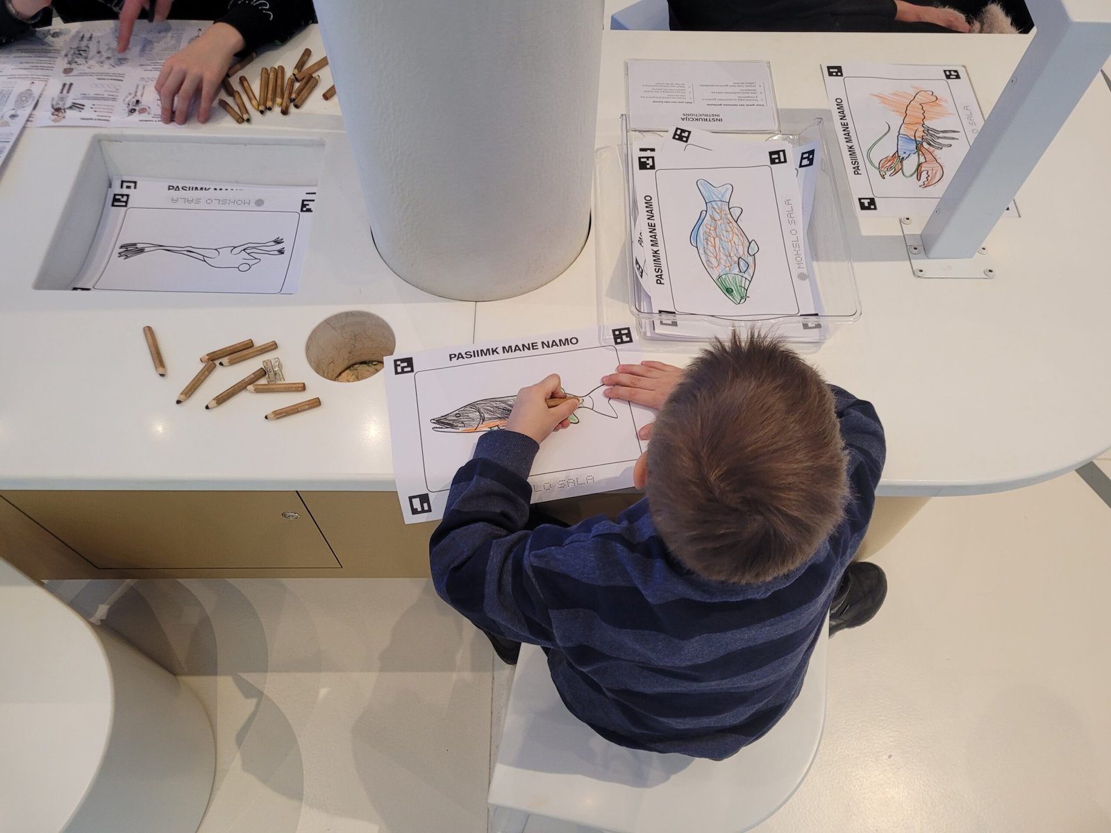 Engaging exhibitions for children at Science Island