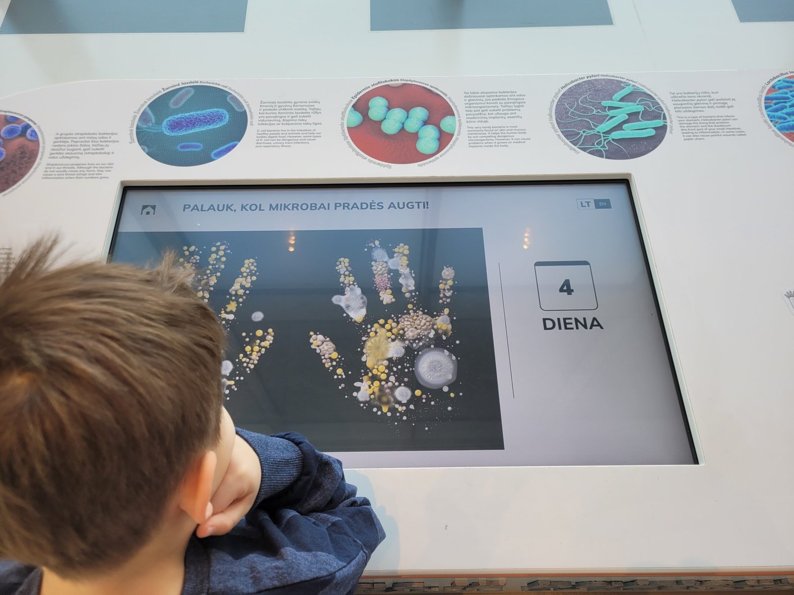 Exhibition about bacteria