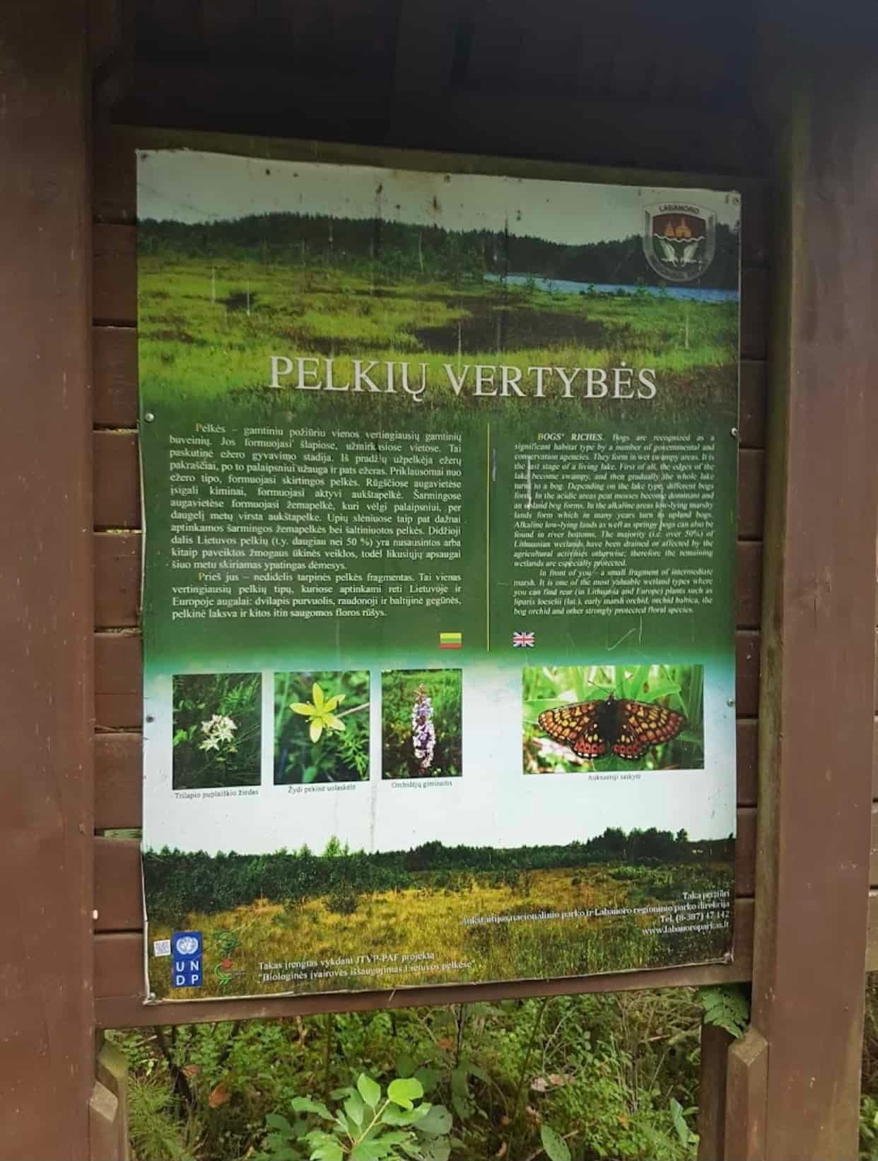 Labanoras forest nature trail