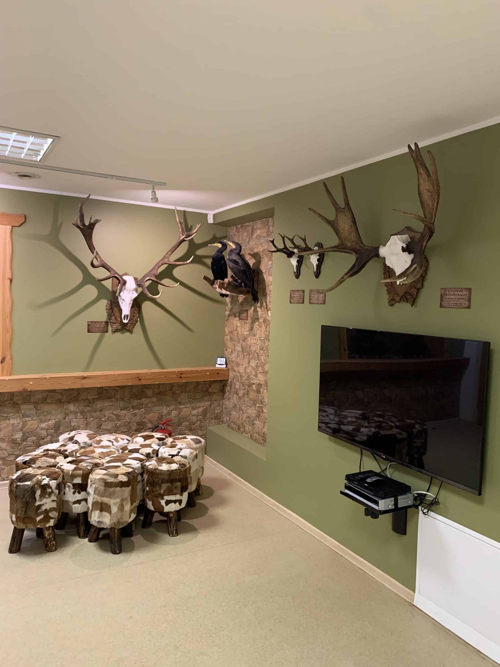 Antanas Truskauskas hunting trophy museum