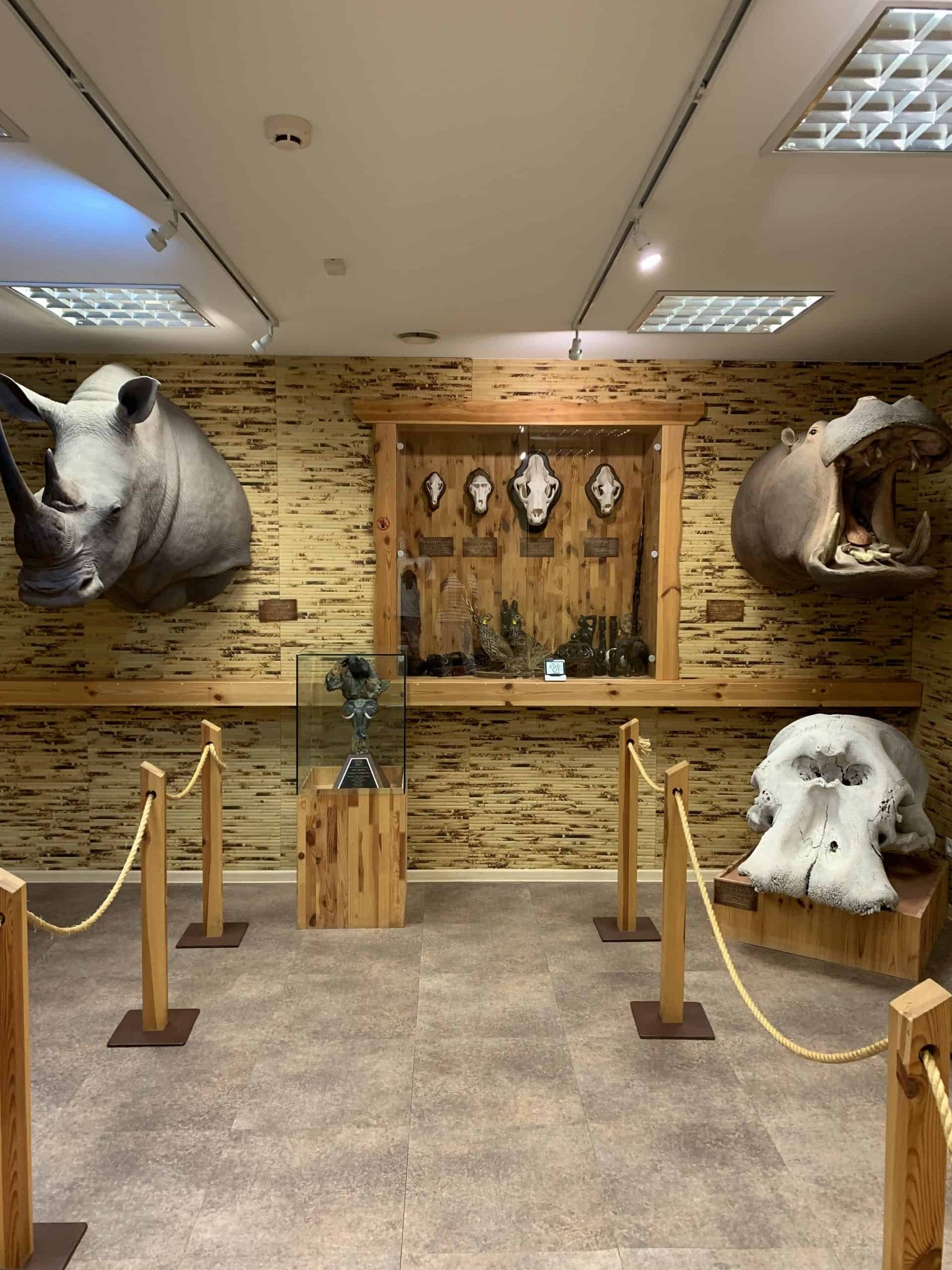 Antanas Truskauskas hunting trophy museum