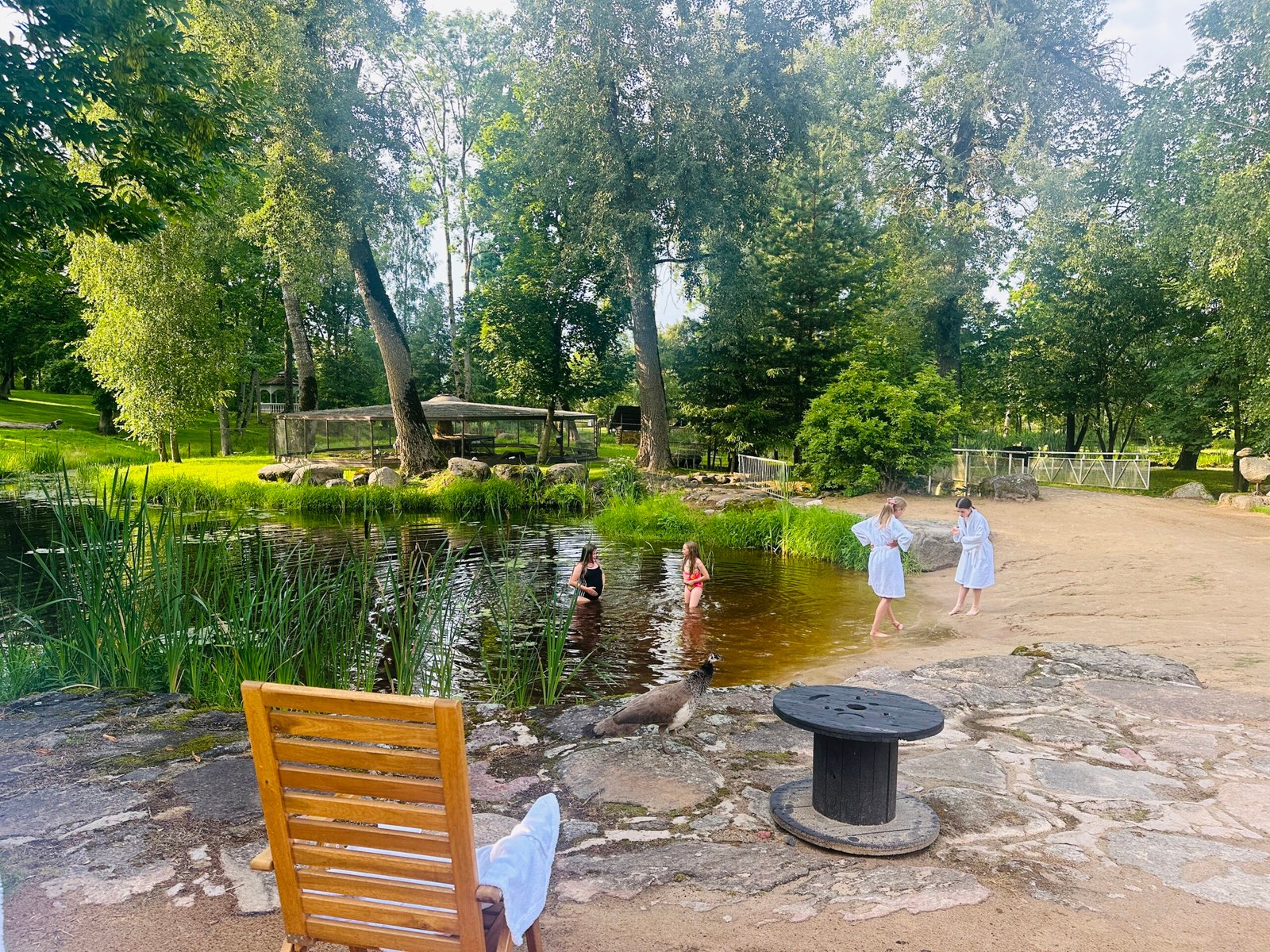 Swimming pond at Taujėnai Manor