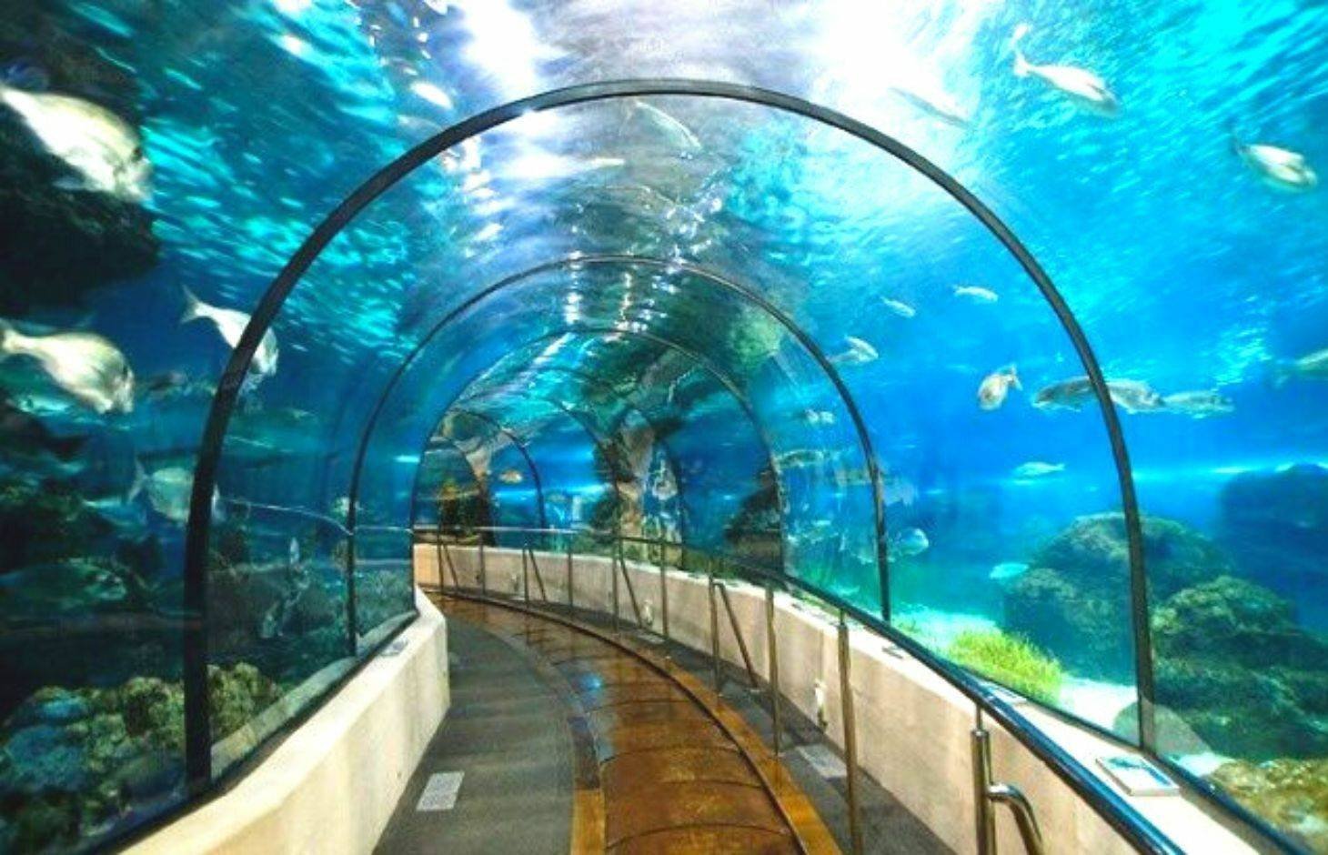 Lithuanian Sea Museum in Klaipėda