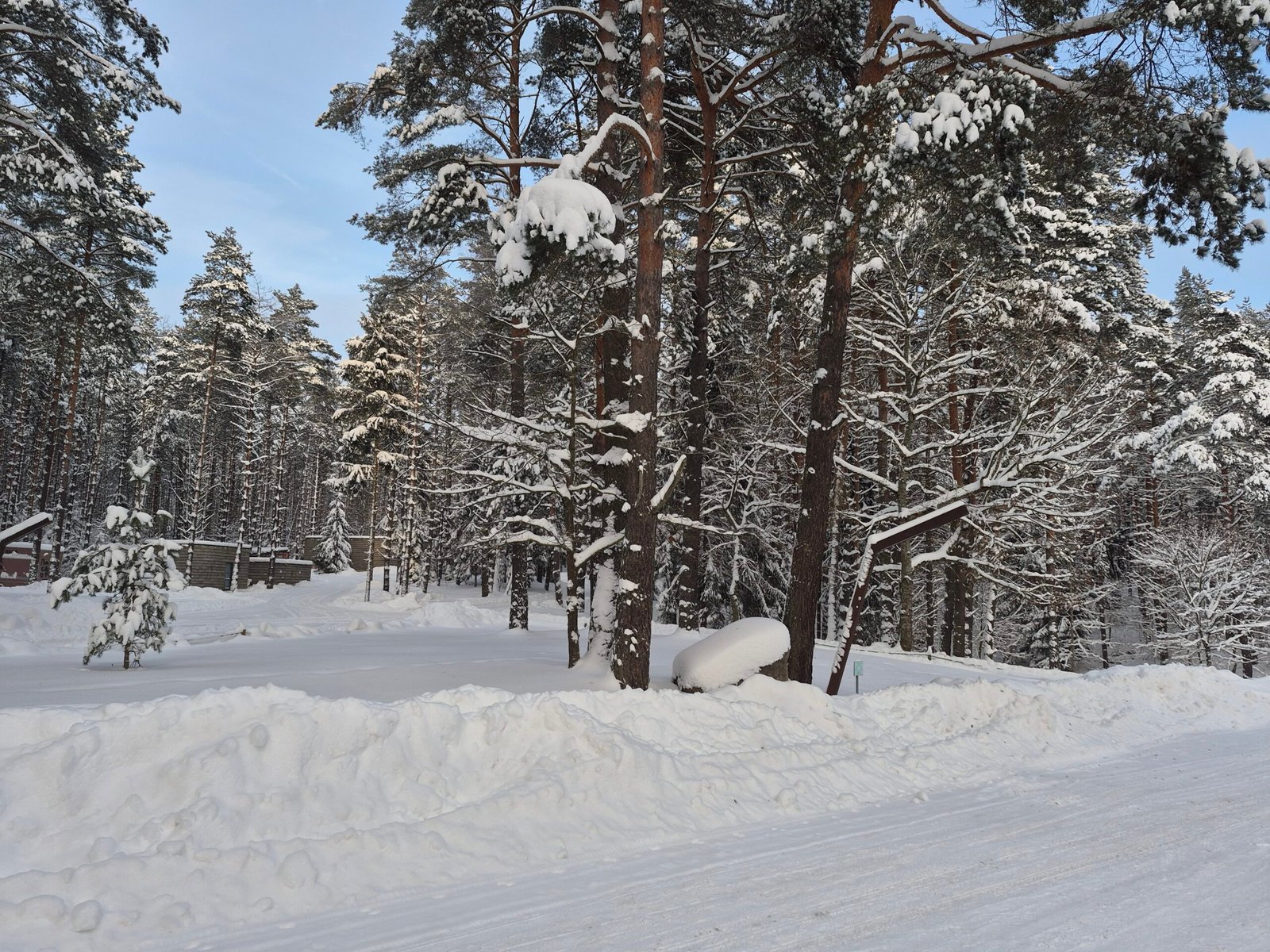 Free ski and sledding trails near Vilnius
