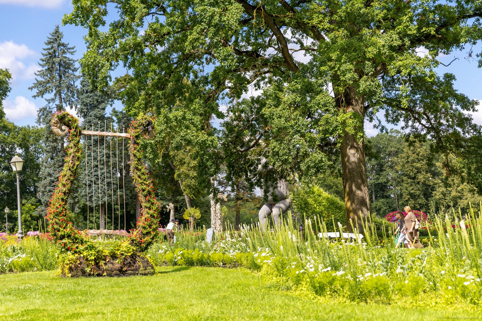 Pakruojis Manor and its vegetation
