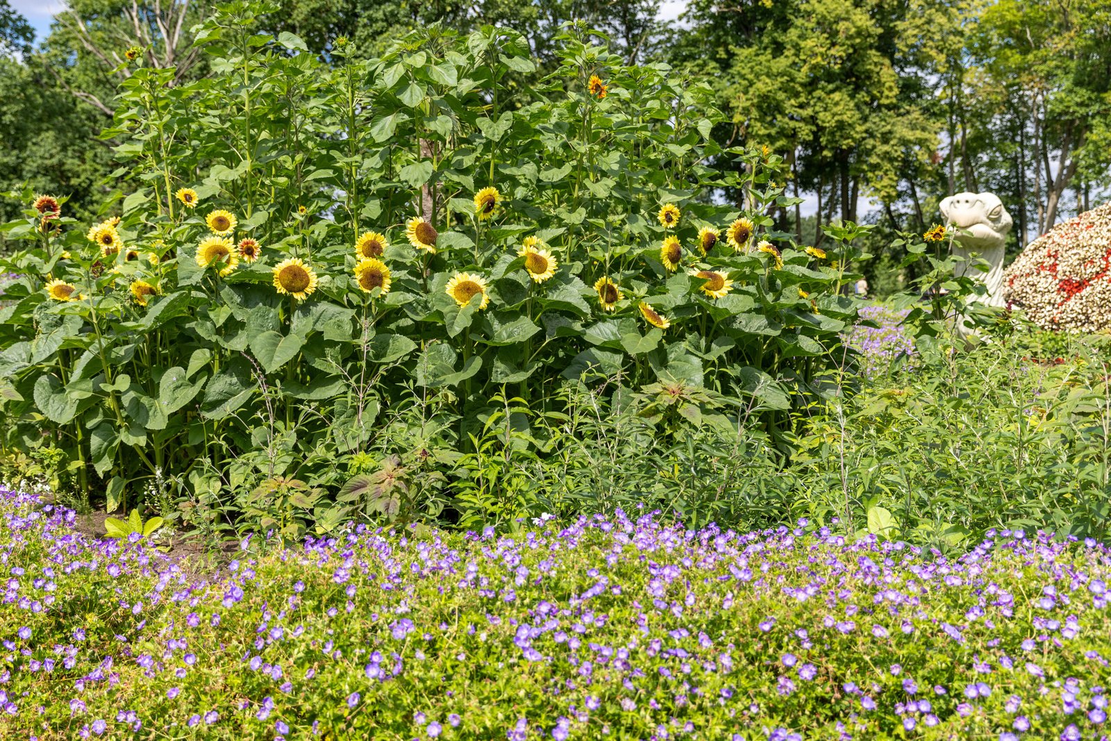 Pakruojis Manor and its vegetation