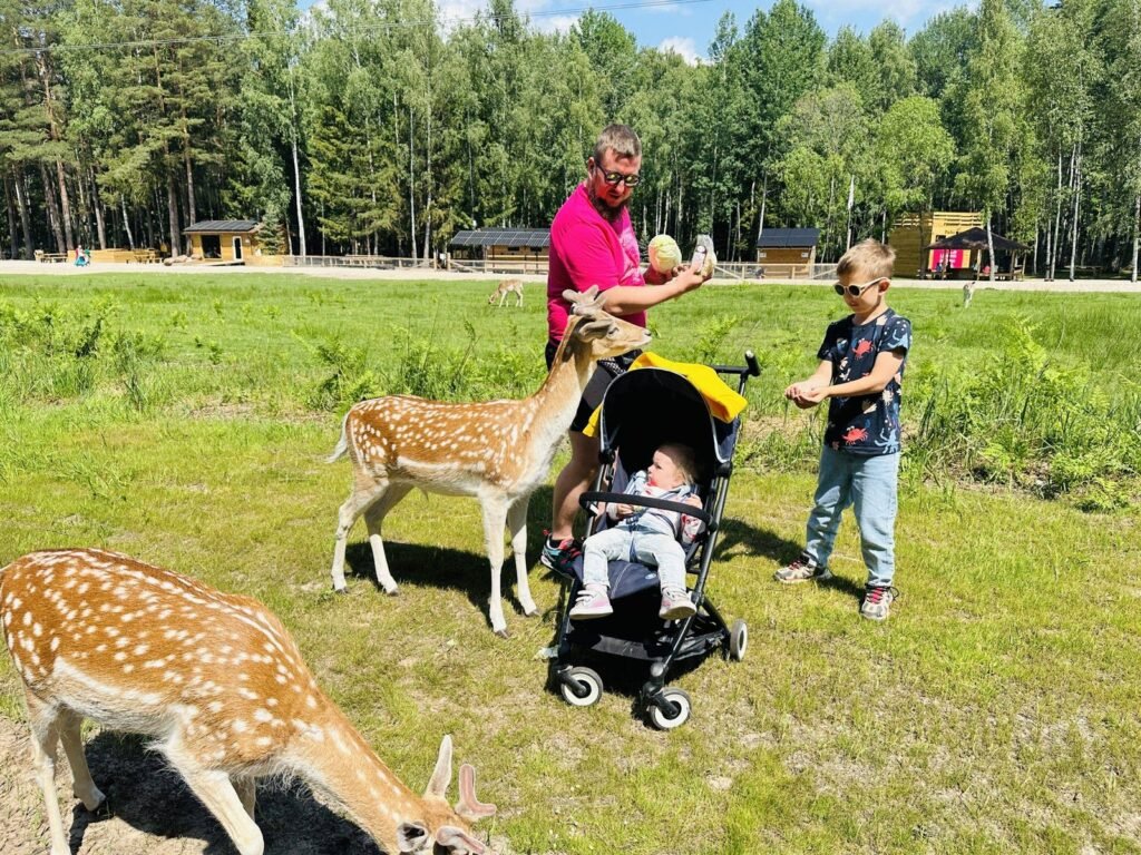 The Fallow Deer Park (Perlinių danielių parkas)