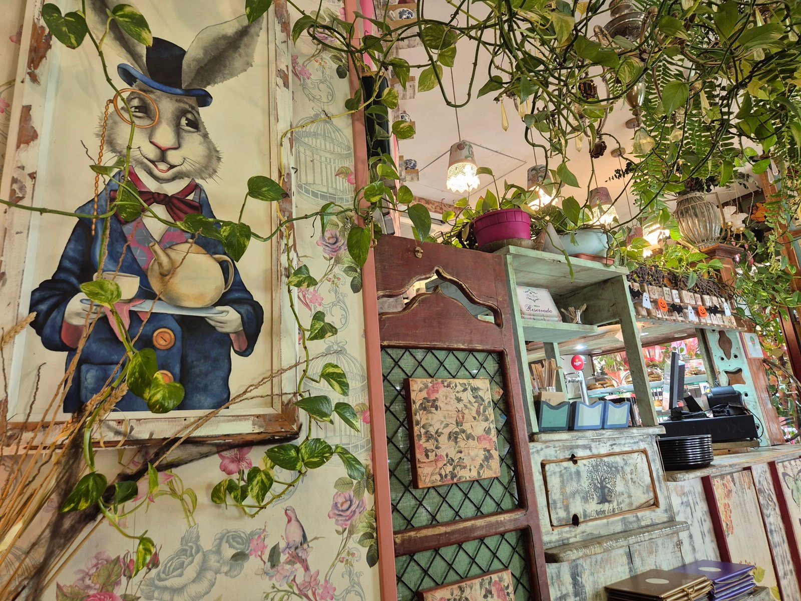 Lilies Garden Las Galletas