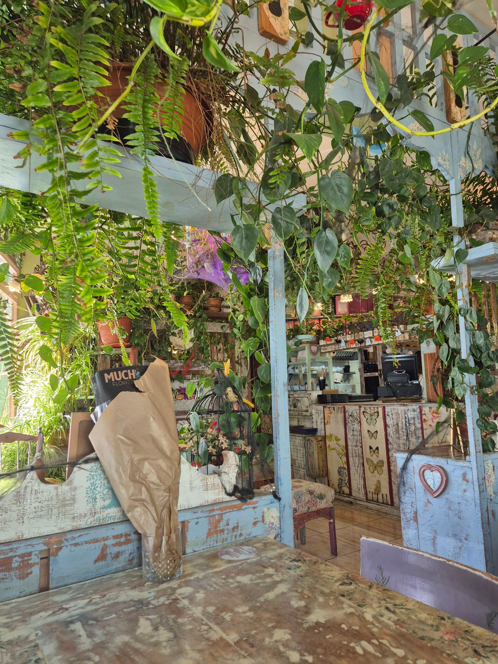 Lilies Garden Las Galletas