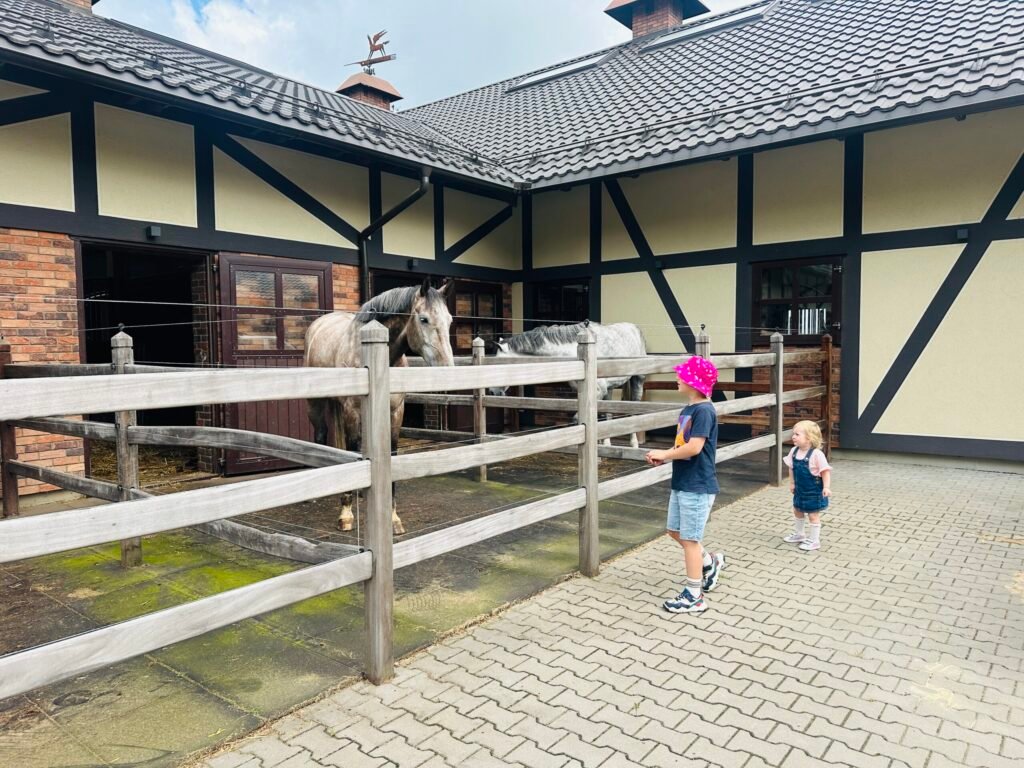 Royal Horse Resort: a unique place for family recreation