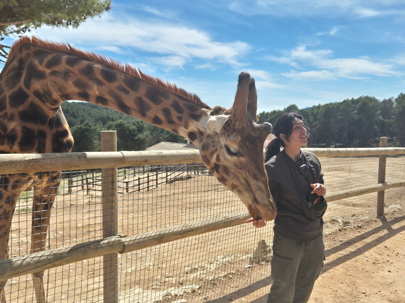 Safari Aitana in Alicante