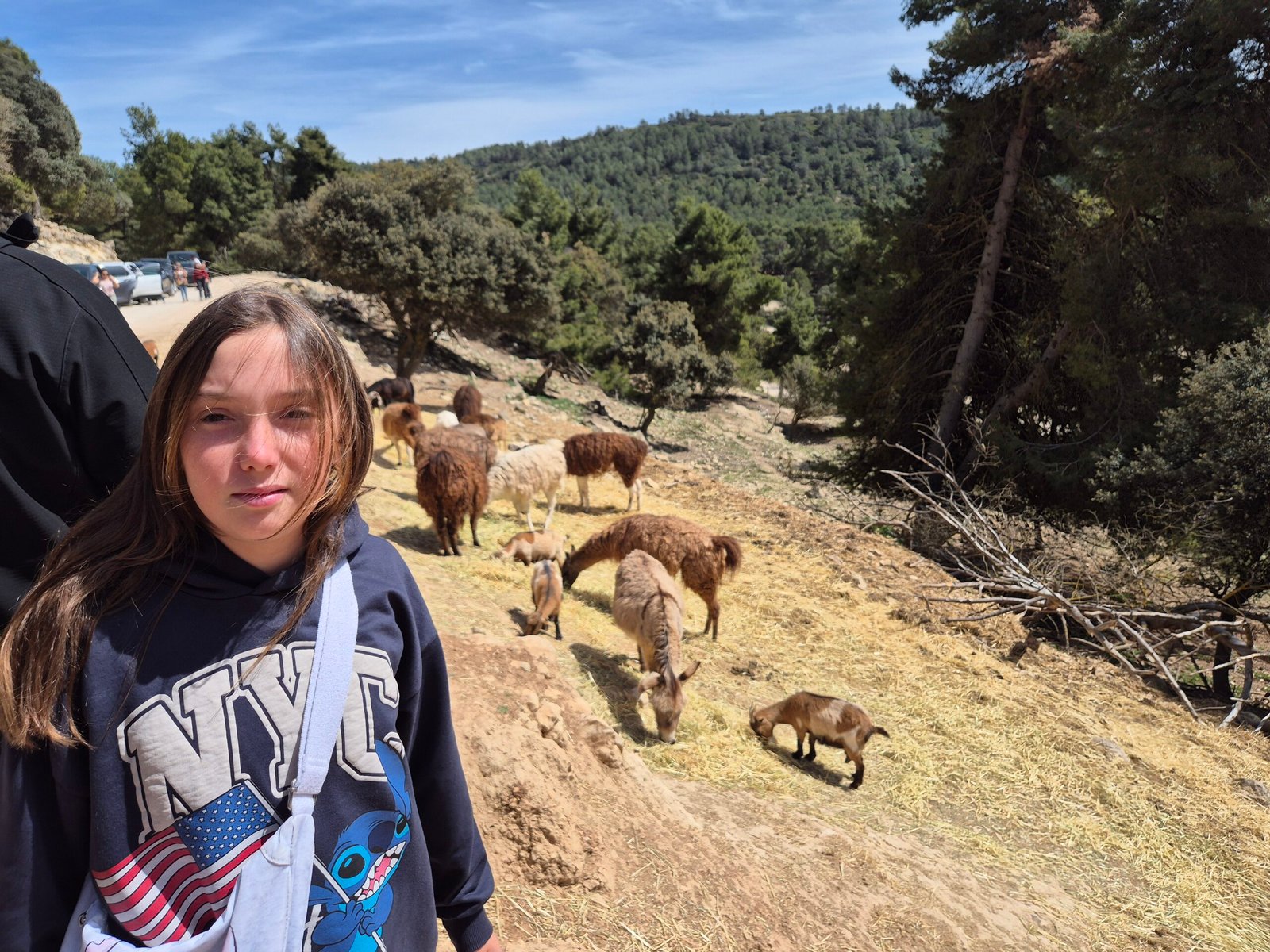 Safari Aitana in Alicante