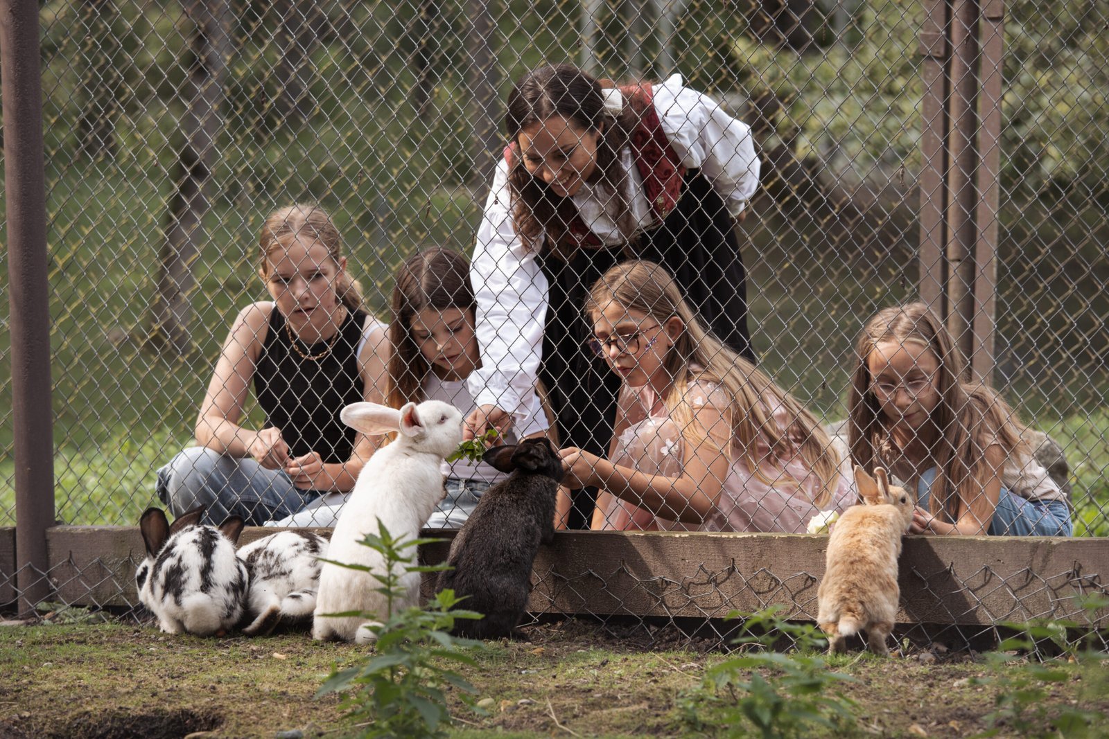 Taujėnai Manor mini zoo