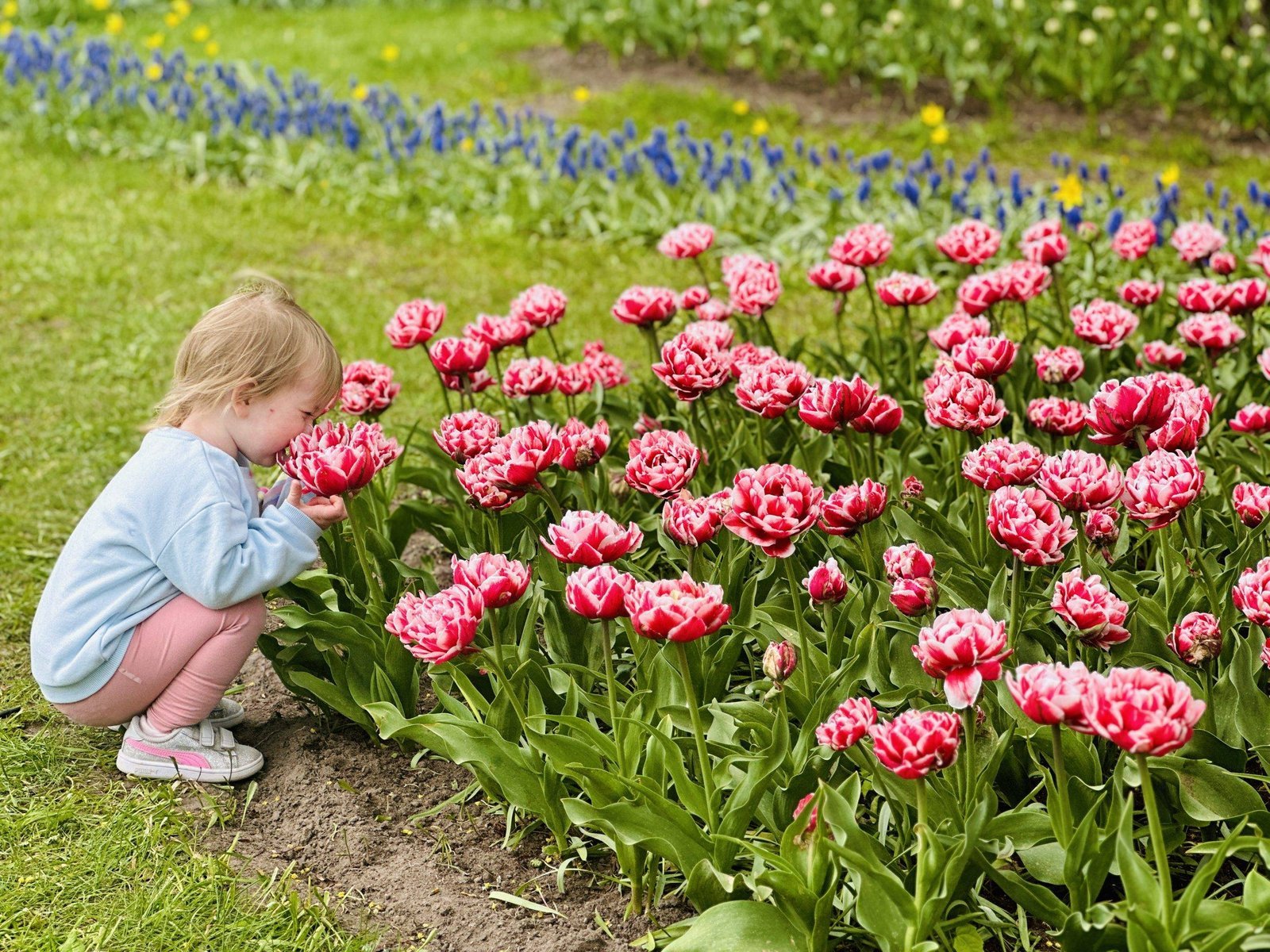 Pakruojis manor with children