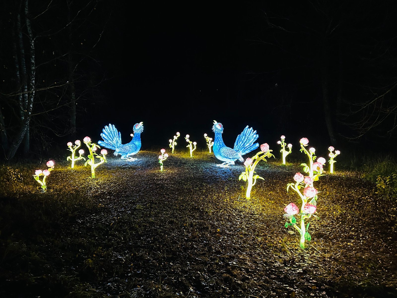 Light festival in Rumšiškės