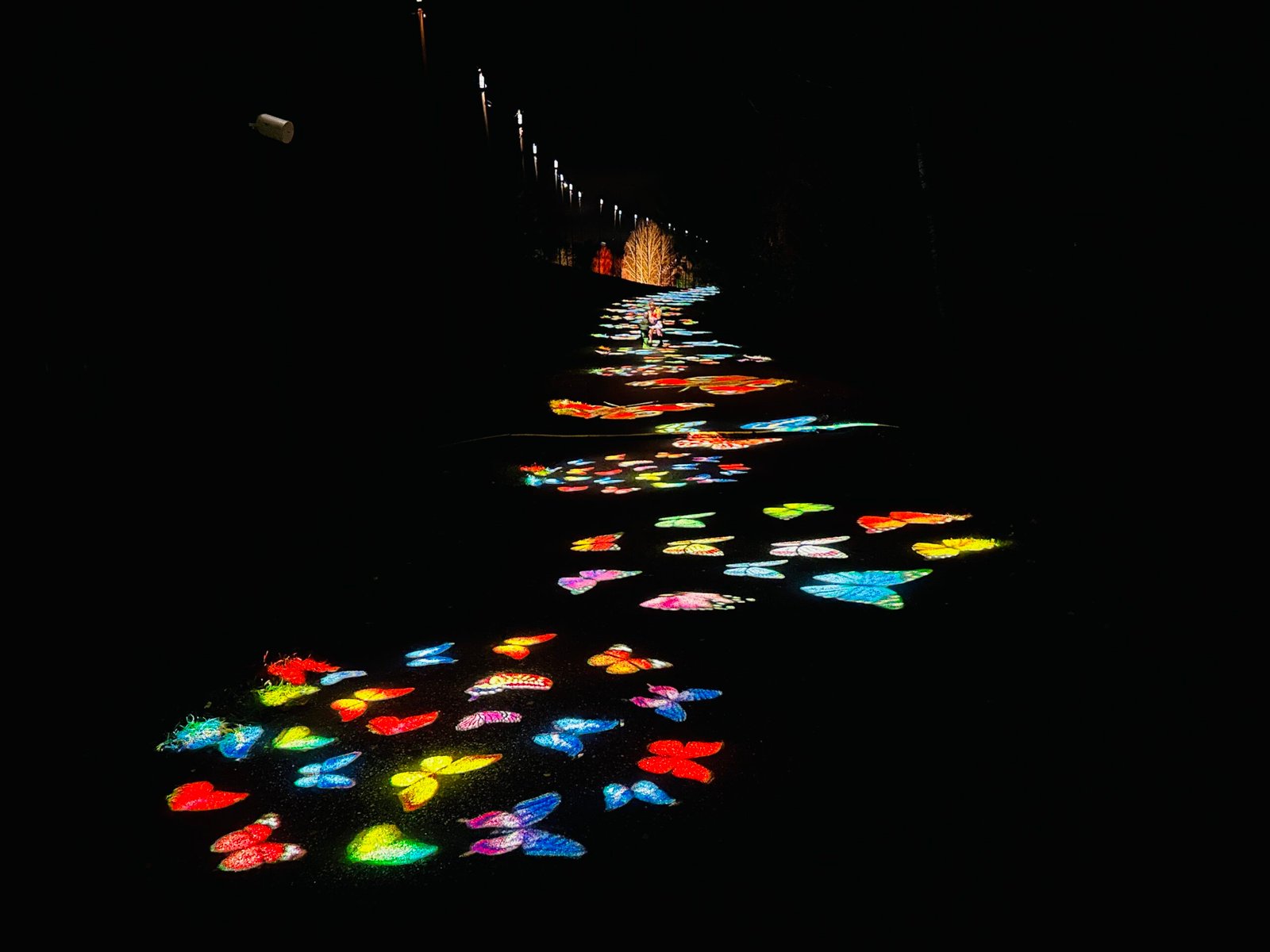 The largest lantern and light festival The Enchanted Valley