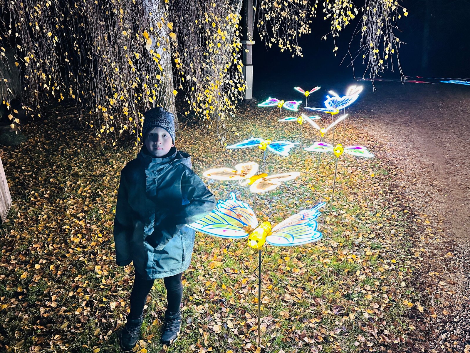 The festival “The Enchanted Valley”