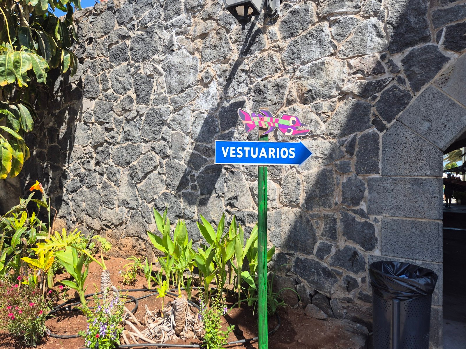 Changing rooms and showers