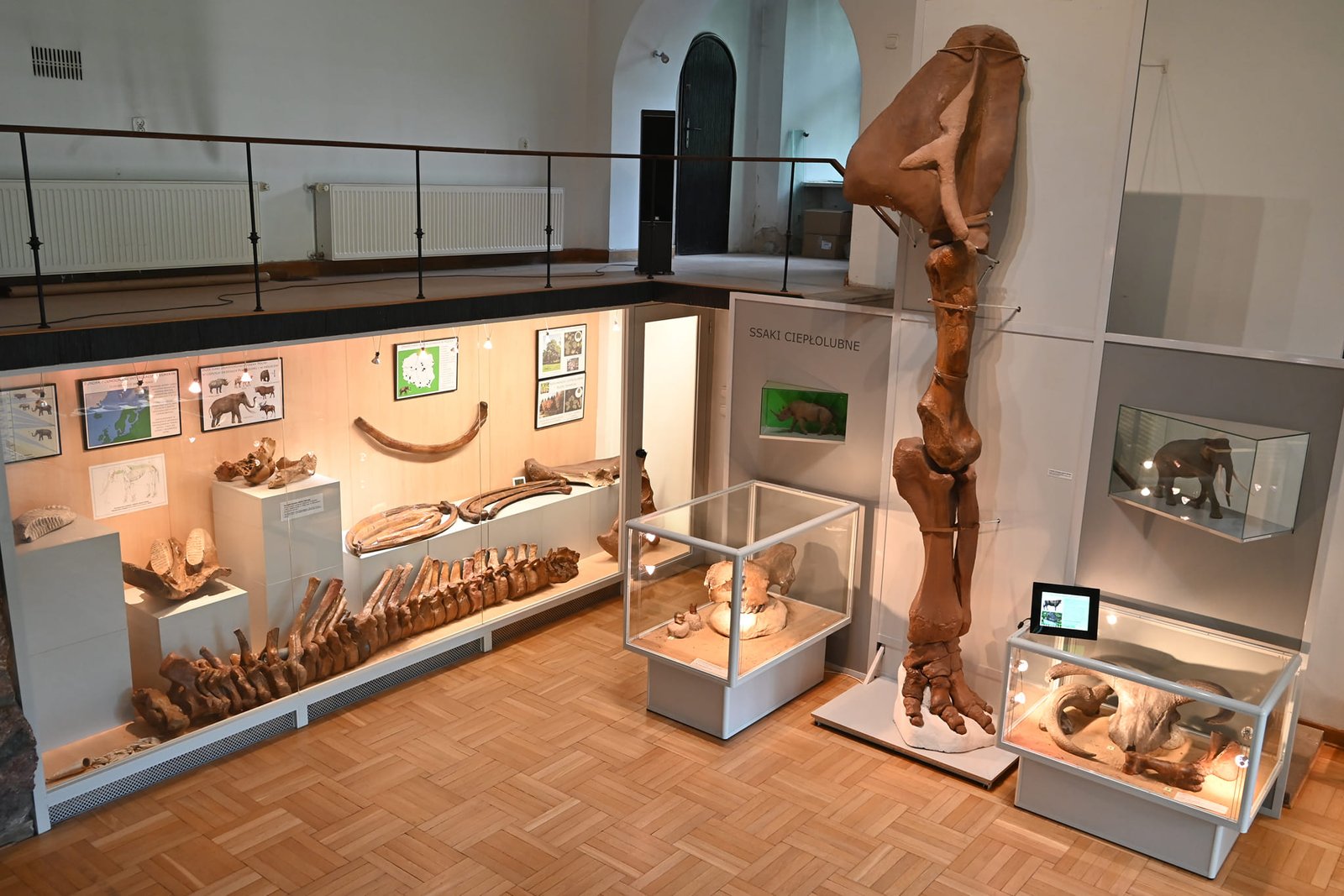 Evolution Museum in Warsaw