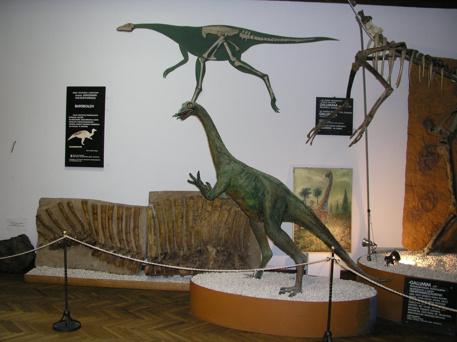 Evolution Museum in Warsaw